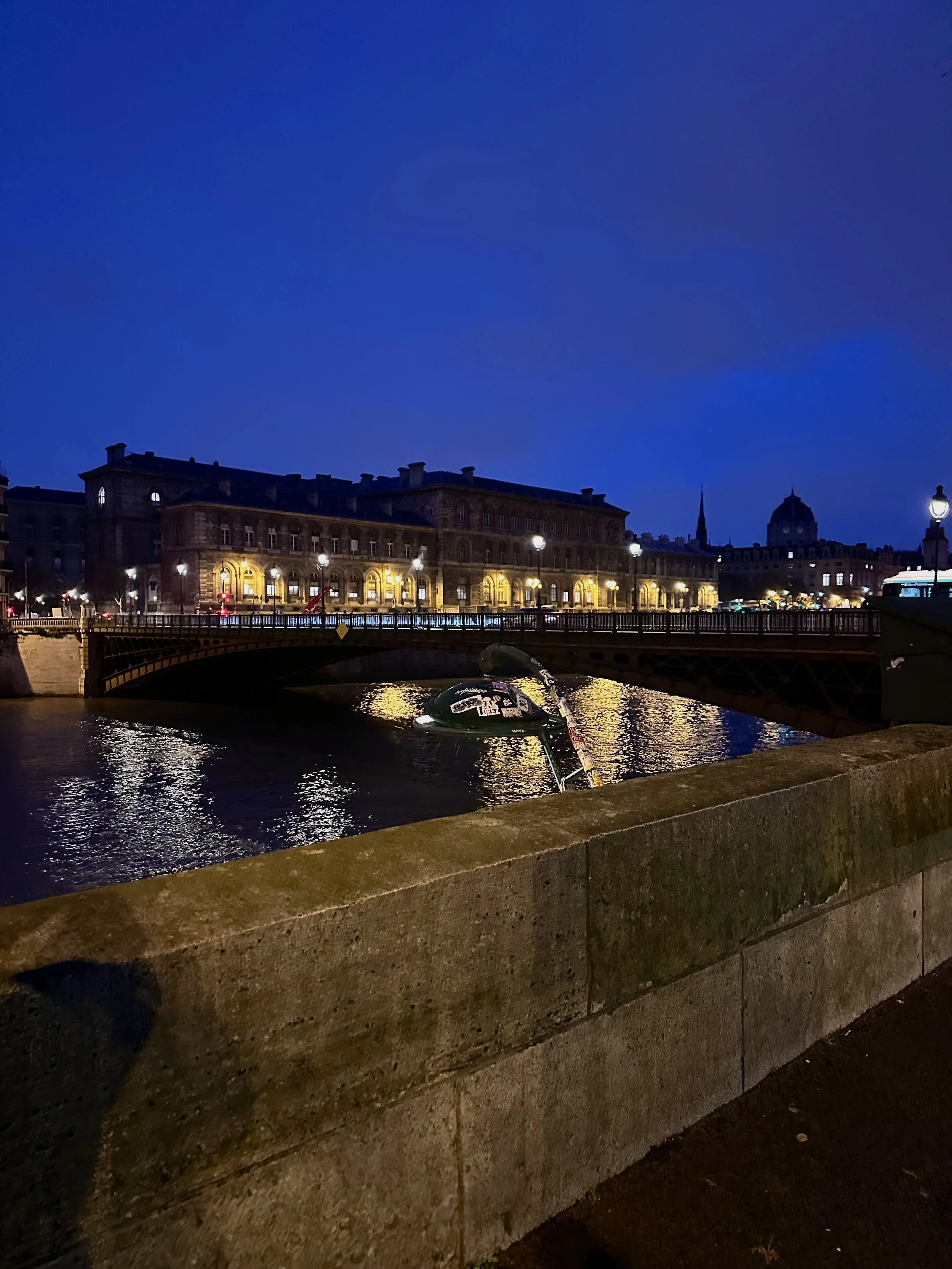 Nighttime scene of a city with a river, illuminated buildings, and a bridge. There is a fallen boat in the water near the riverbank.