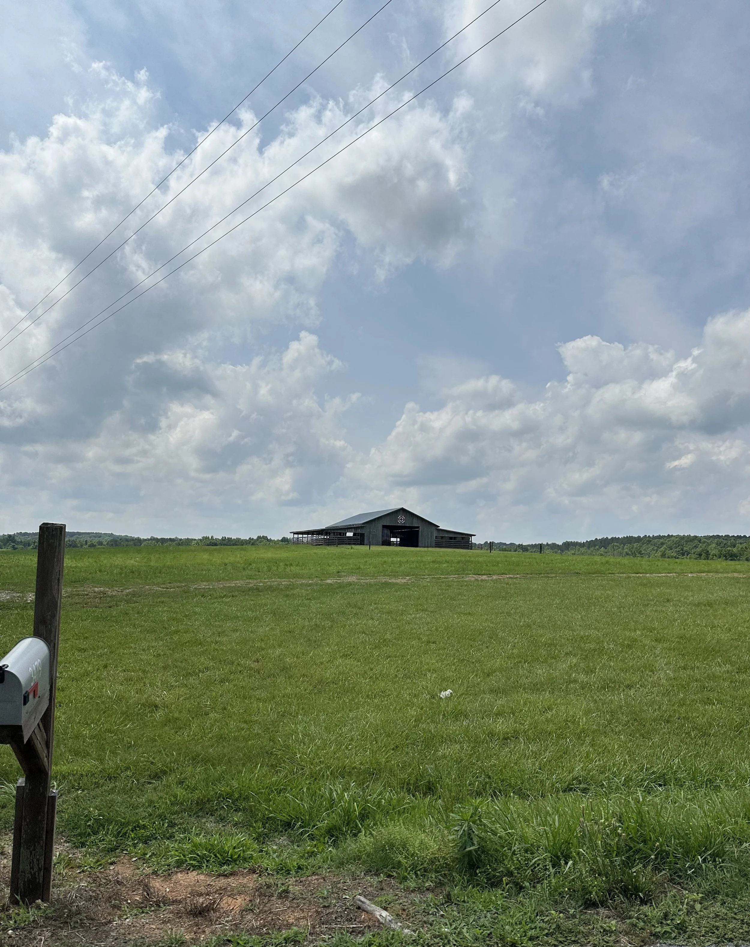 A rural landscape with a green grassy field, a wooden barn in the distance, and a partly cloudy sky with some power lines overhead.