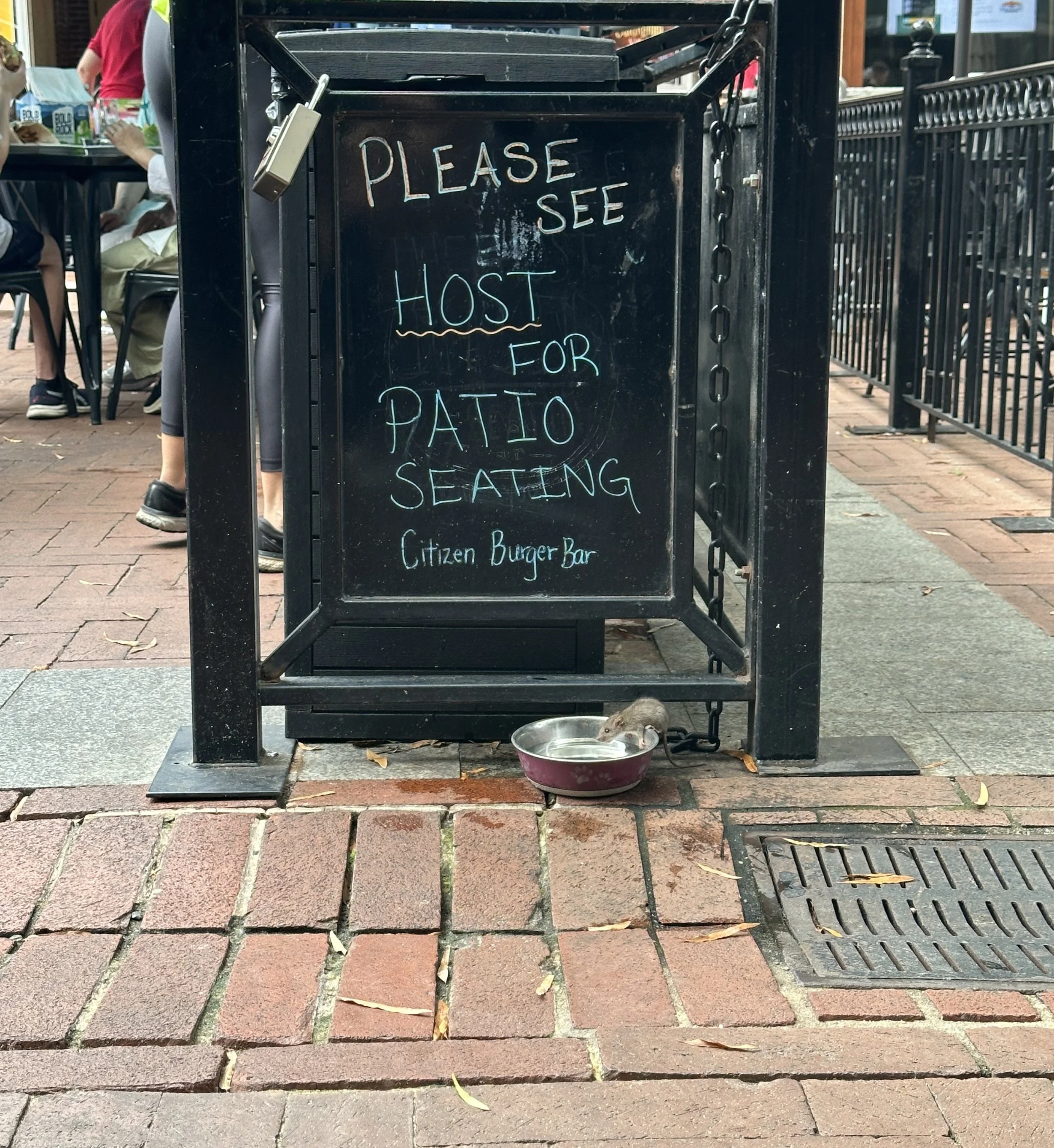 A chalkboard sign on a sidewalk reads: 'Please see host for patio seating. Citizen Burger Bar.' There is a small bowl with a mouse on the ground in front of the sign. In the background, people are seated at tables outdoors.