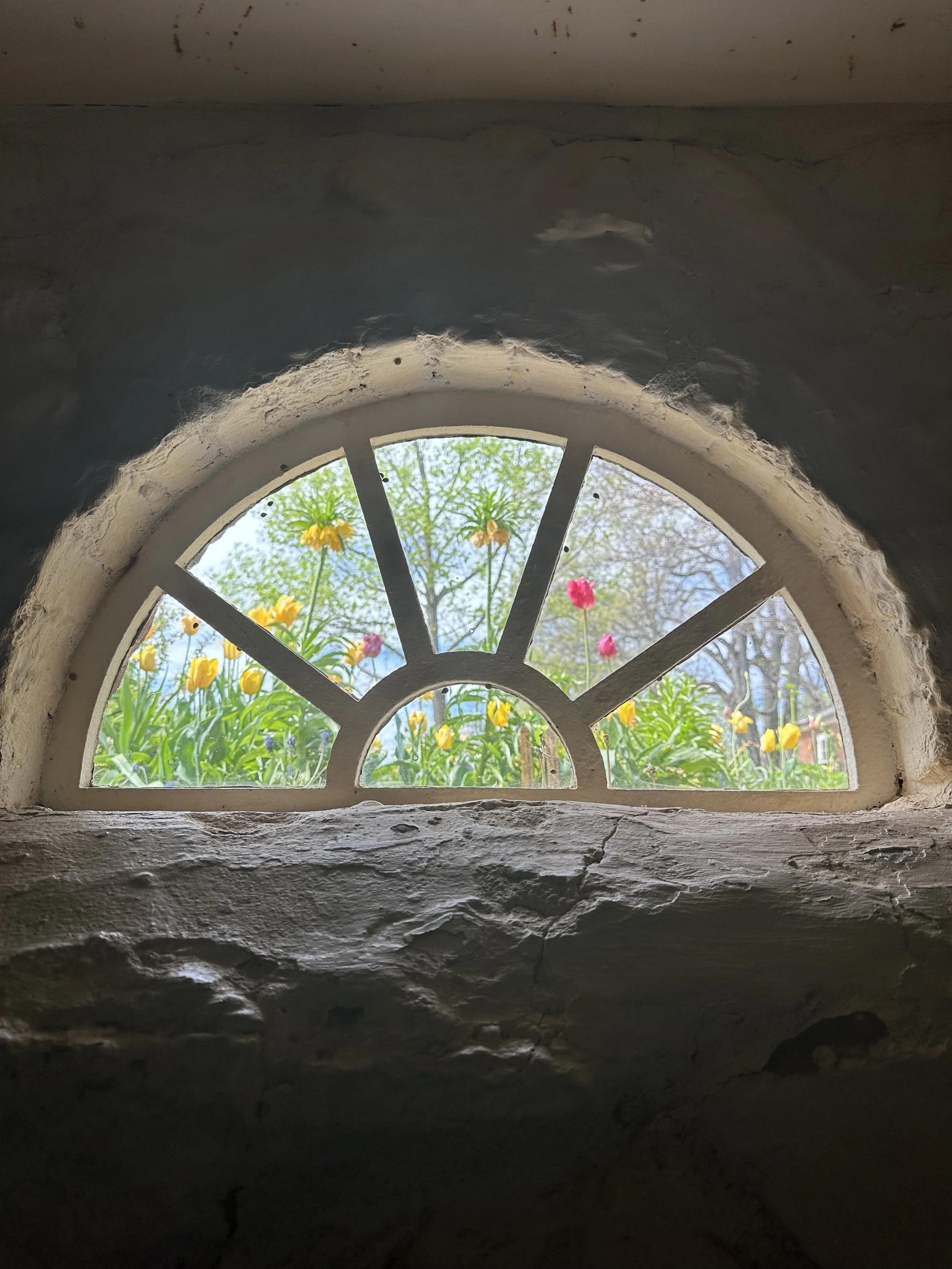 Looking through a small arched window with white framing at blooming tulips and yellow daffodils outside in a garden, with trees and blue sky in the background.