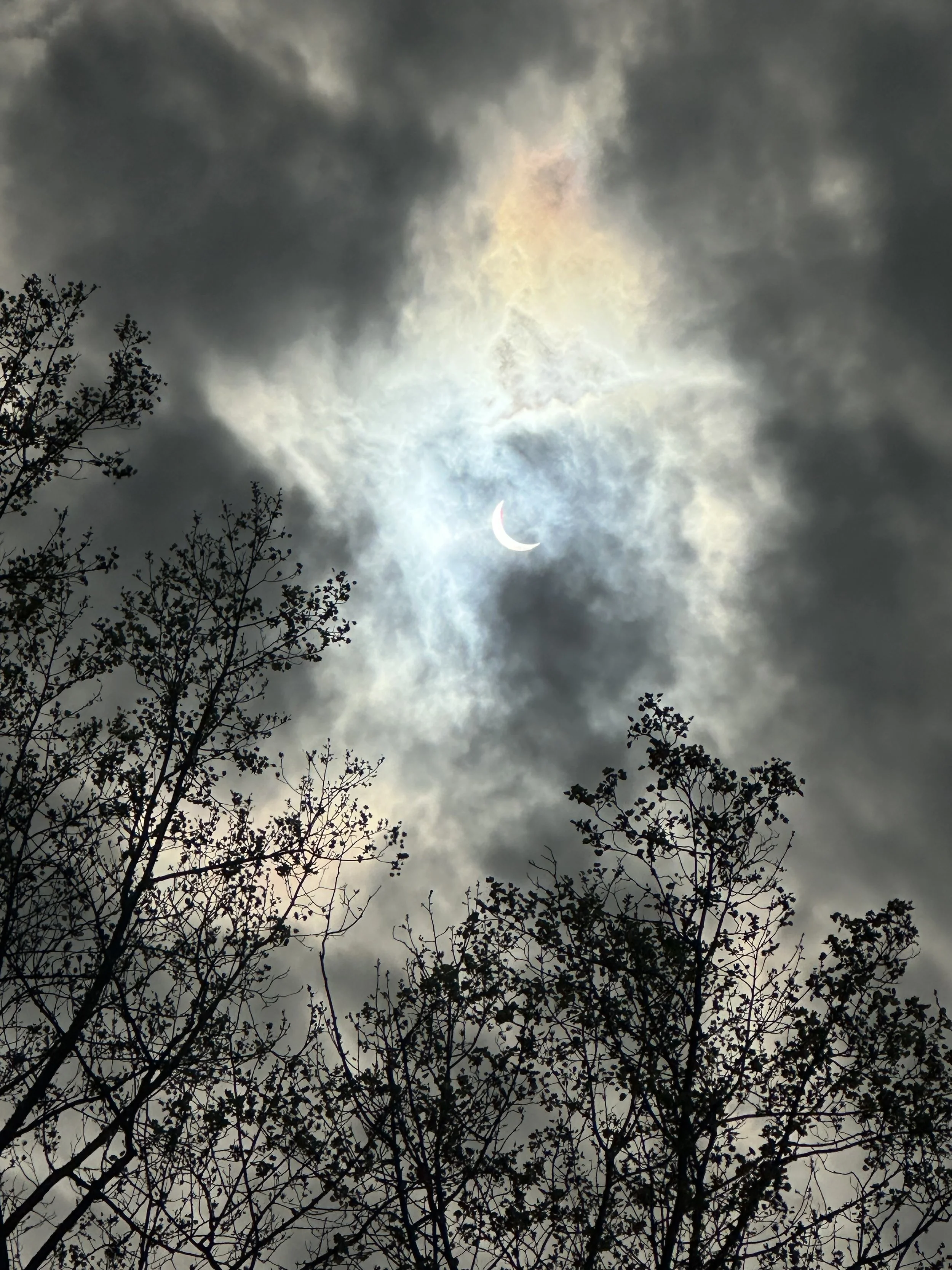 The moon is partially visible through dark, cloudy sky with some rainbow-like colors, as silhouettes of tree branches reach upward in the foreground.