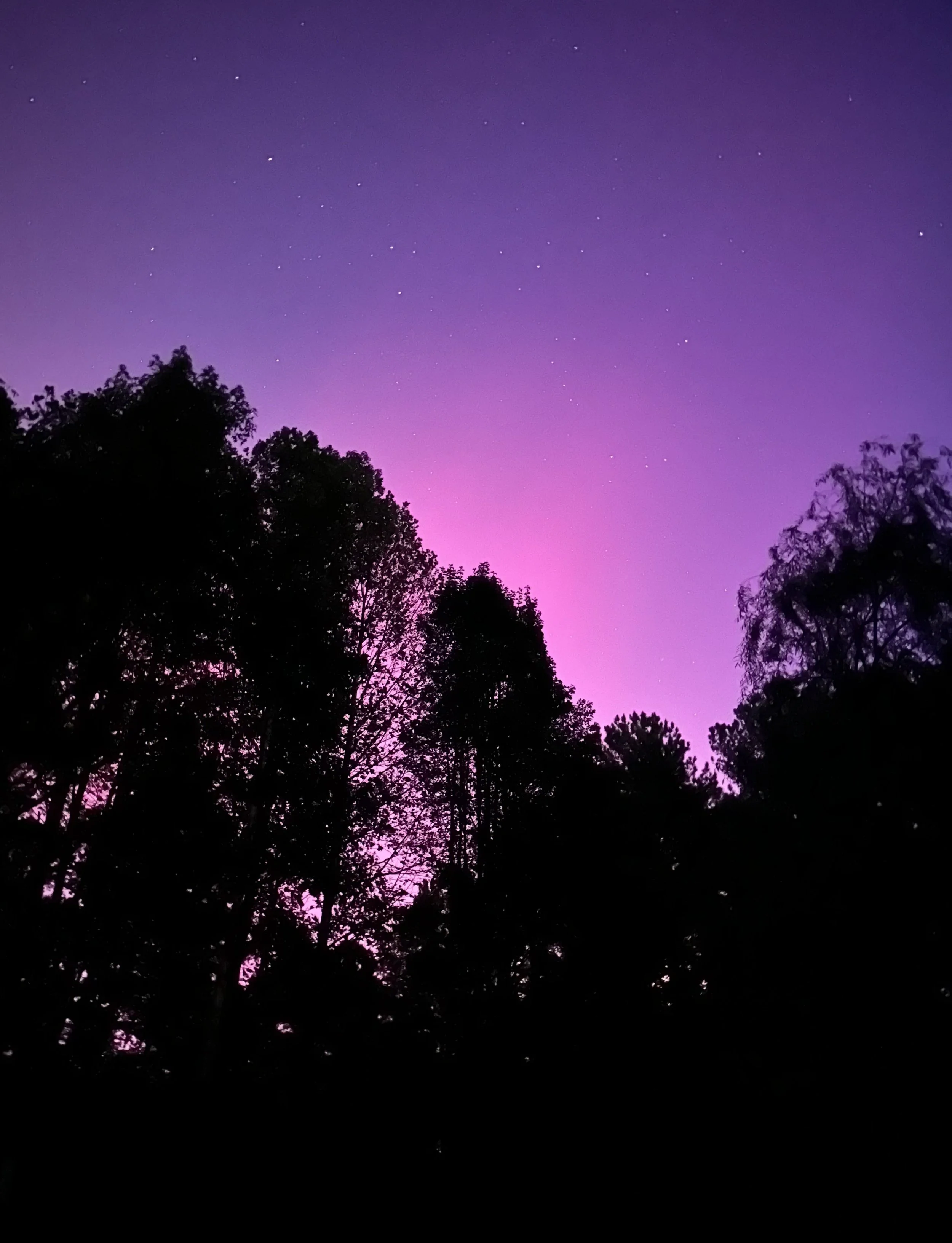 Vivian Plante Publicist photography: Purple and pink ombre night sky