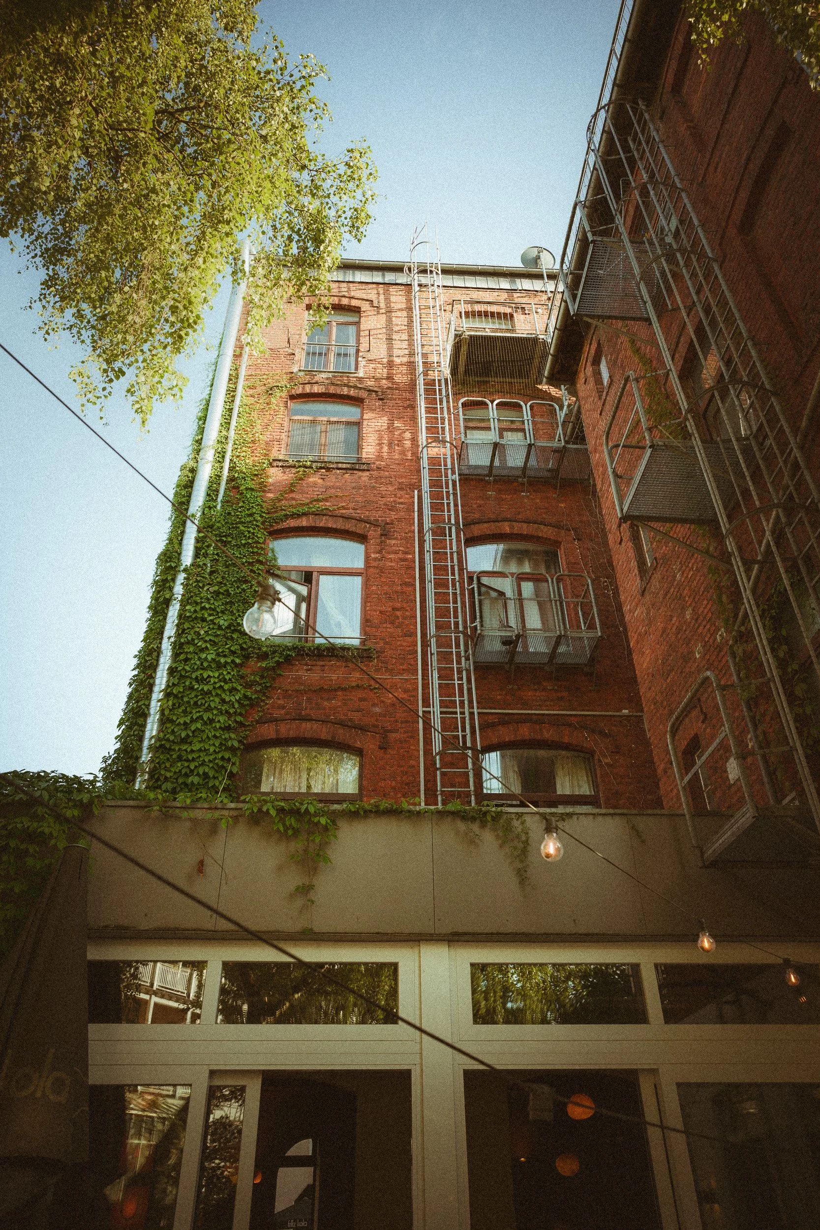 Blick nach oben auf ein mehrstöckiges rotes Backsteingebäude mit Balkonen, Dachzugang und Dächern, umgeben von grünen Bäumen gegen den blauen Himmel.