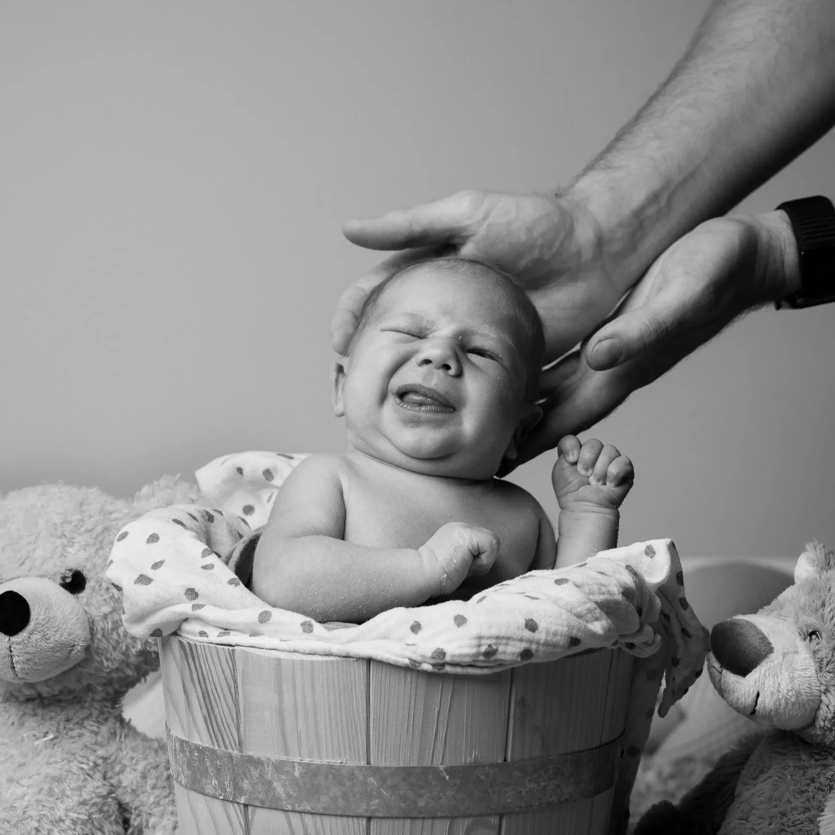 Schwarz-Weiß-Foto eines Babys in einem Korb, das von zwei Erwachsenen Händen gehalten wird, mit Teddybären auf beiden Seiten.