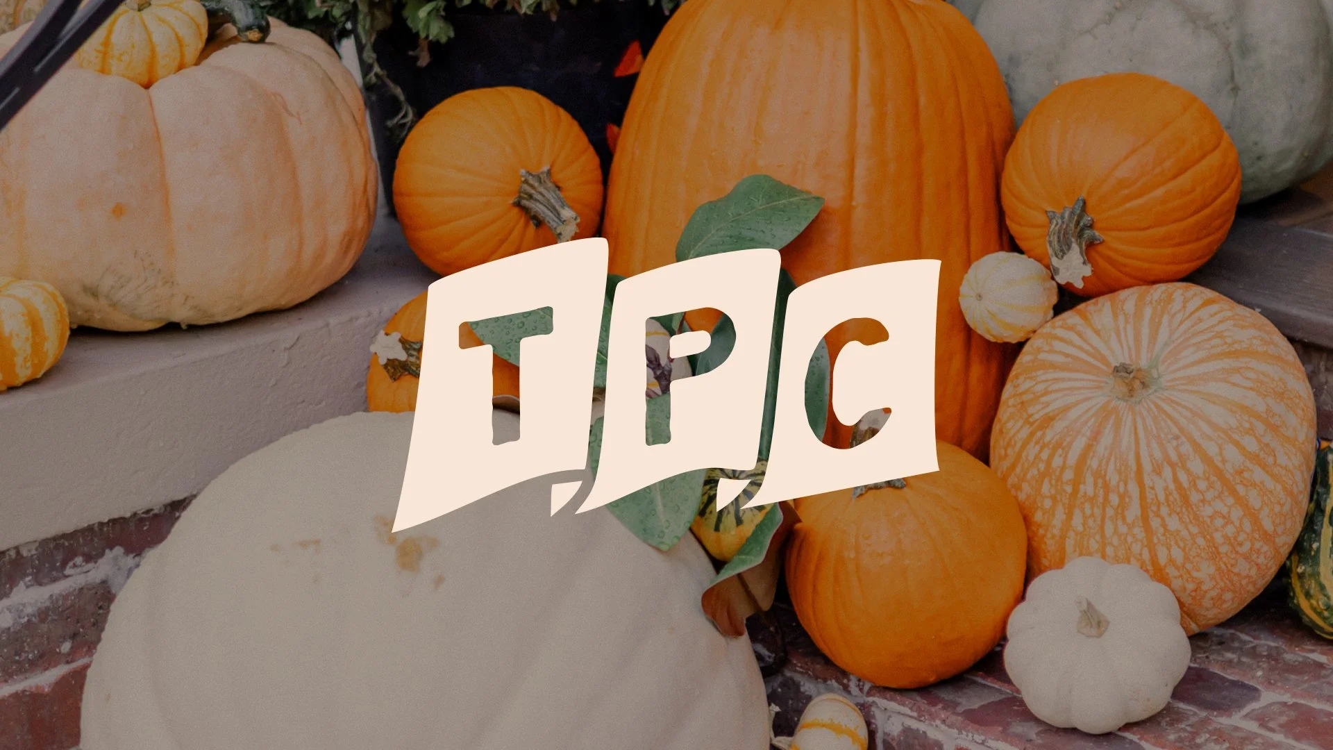 Tampa Porch Collective