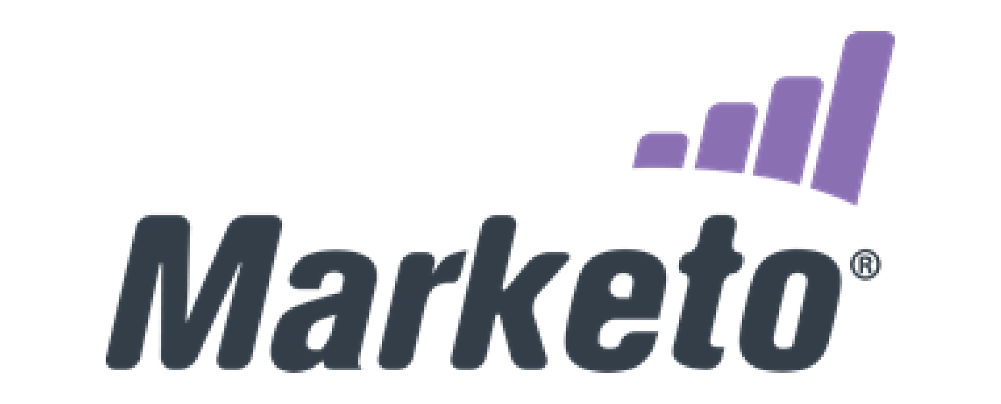 MarKed logo with stylized purple upward arrow in the background.