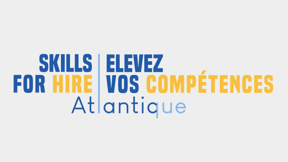 Supporting Digital Nova Scotia’s Skills for Hire programme