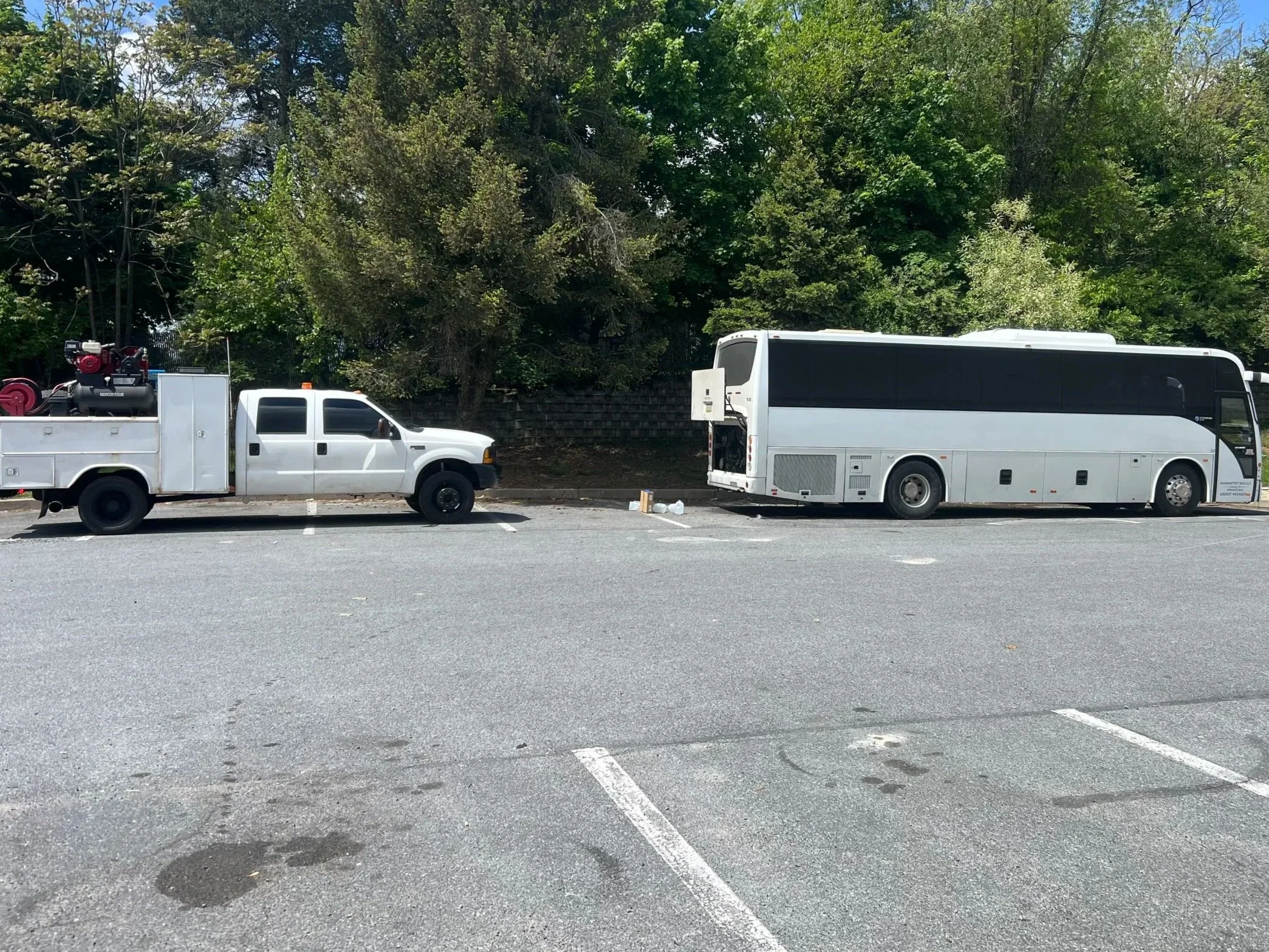 A parking lot with a white utility truck and a white bus parked along a curb, with a backdrop of green trees and a clear sky.