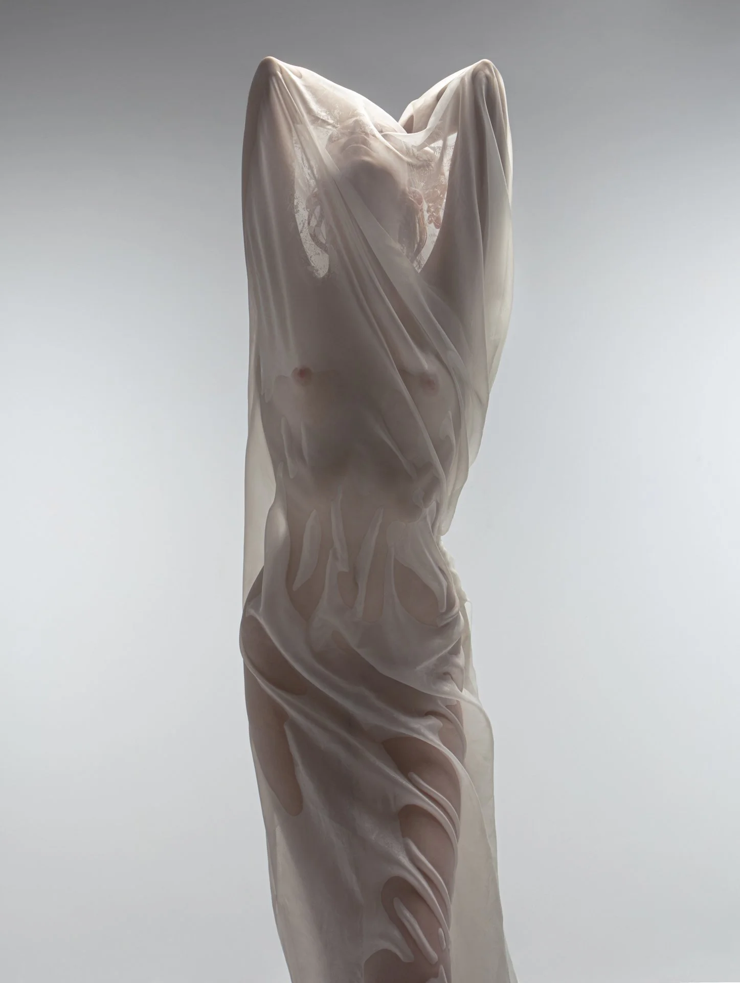 A statue of a woman covered with a semi-transparent cloth, revealing some of her features and pose.