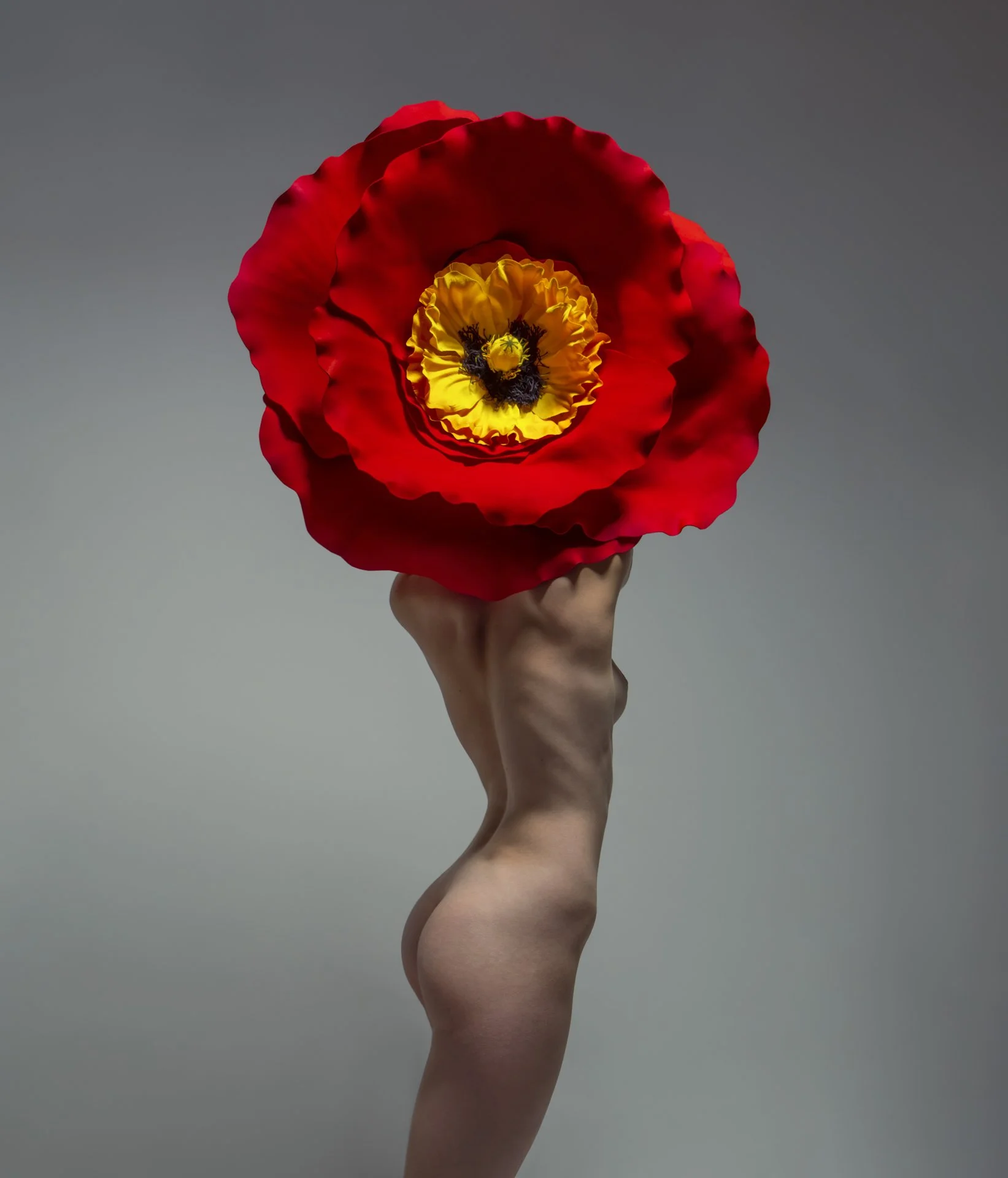 A hand holding a large red and yellow flower that covers the person's face.