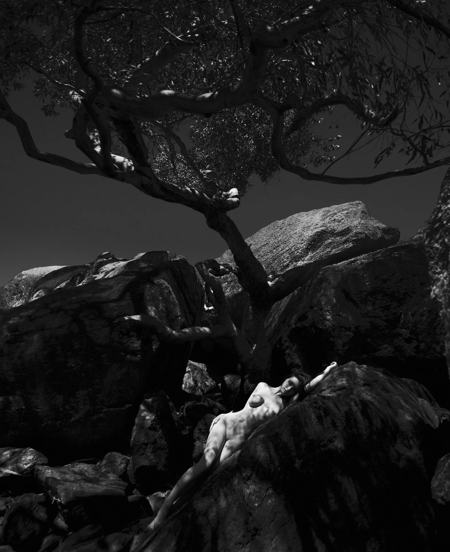 A black and white photo of a nude woman reclining on rocks beneath a twisted tree with sparse leaves, with rocks and dark sky in the background.