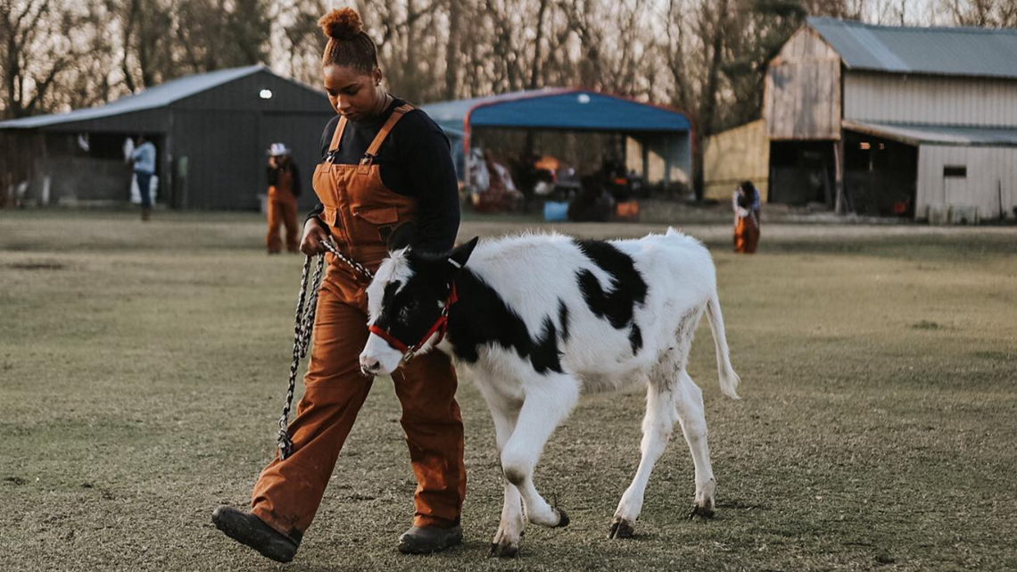 A young woman leading a small black and white calf on a grassy farm with barn structures in the background.