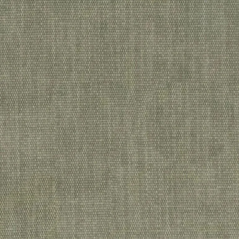 Eucalyputs