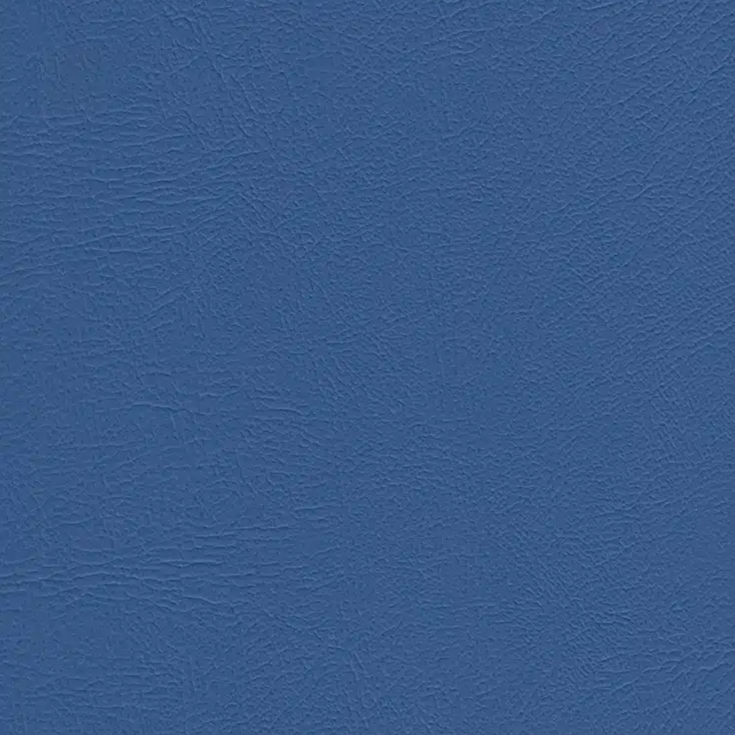 Periwinkle