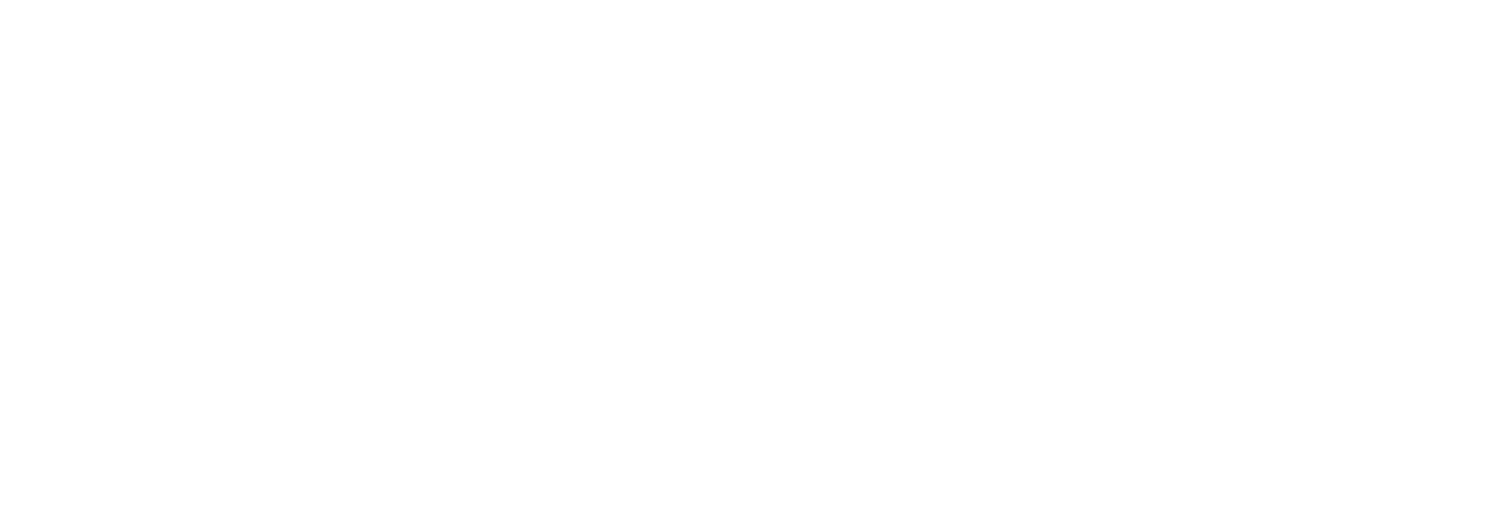 Nestie | Australian-Made Maternity Beds &amp; Birthing Solutions