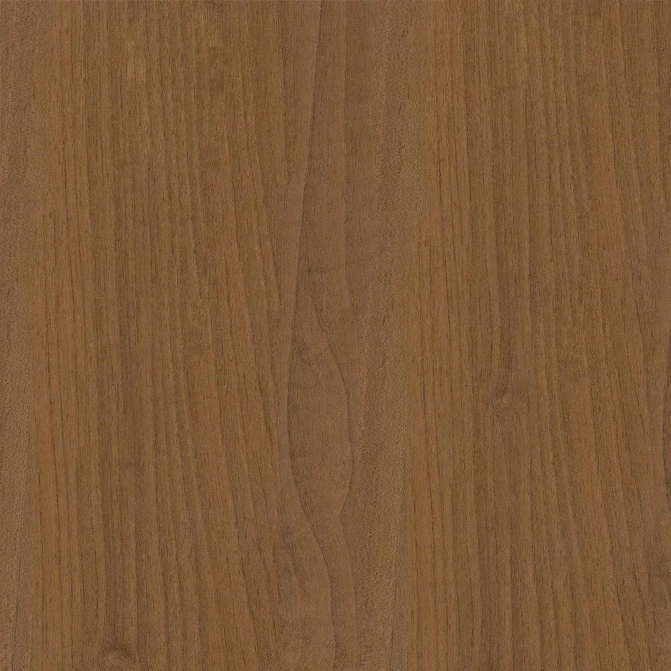 European Oak