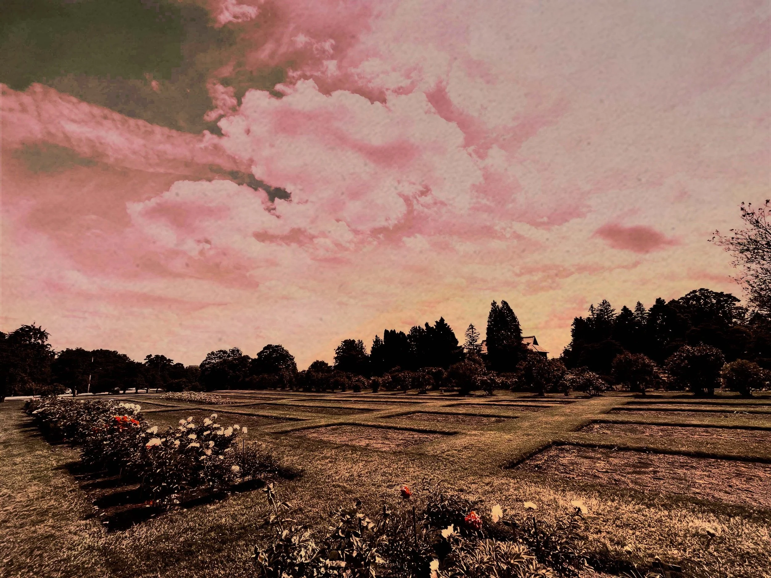 arboretun garden_modified.jpg