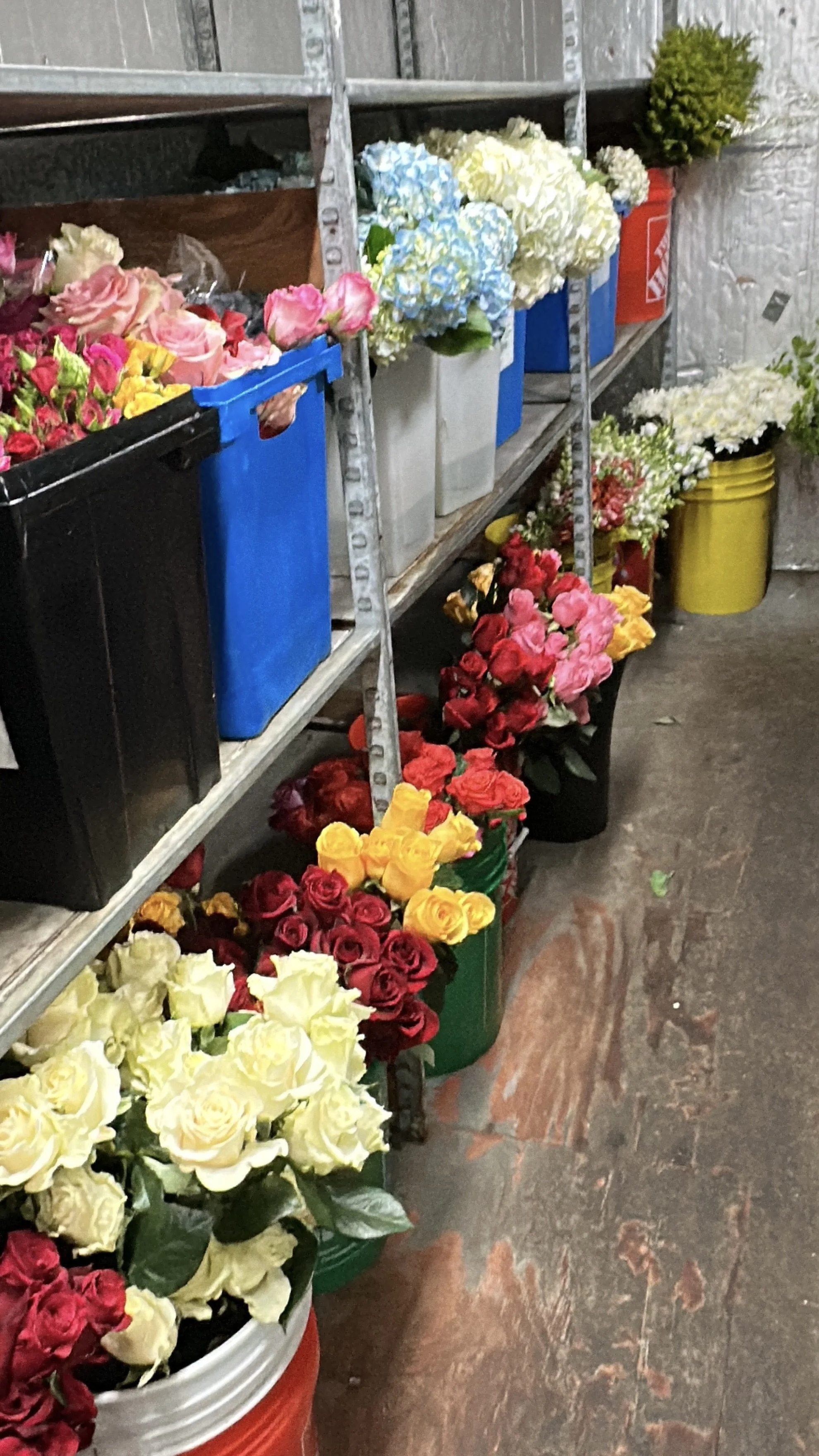 Designer's Choice - Vase