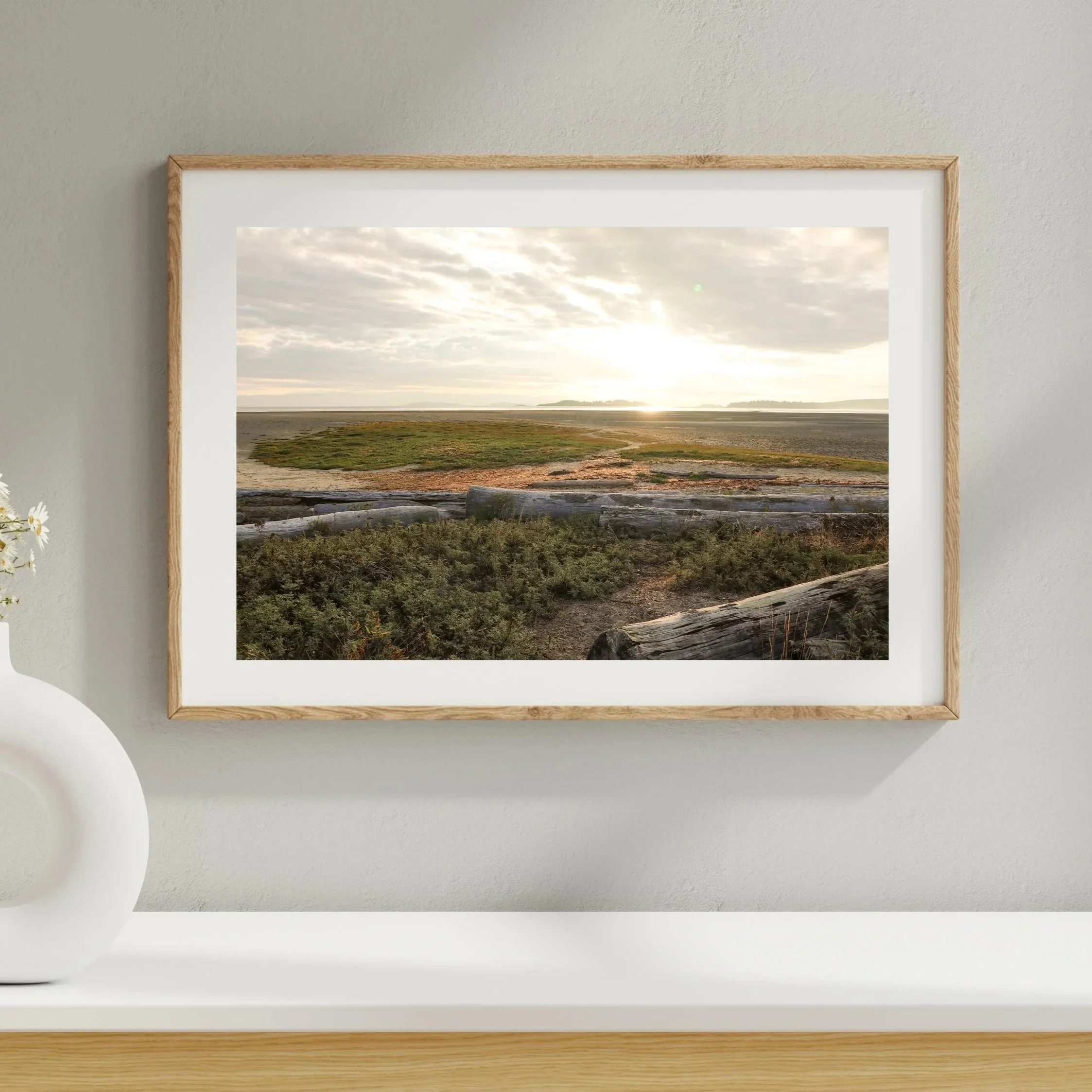 Golden Sunrise at Rathtrevor Beach in Parksville, British Columbia - coastal landscape with vegetation and driftwood. This beach has the most amazing sunrises. Monika Hamilton Photography