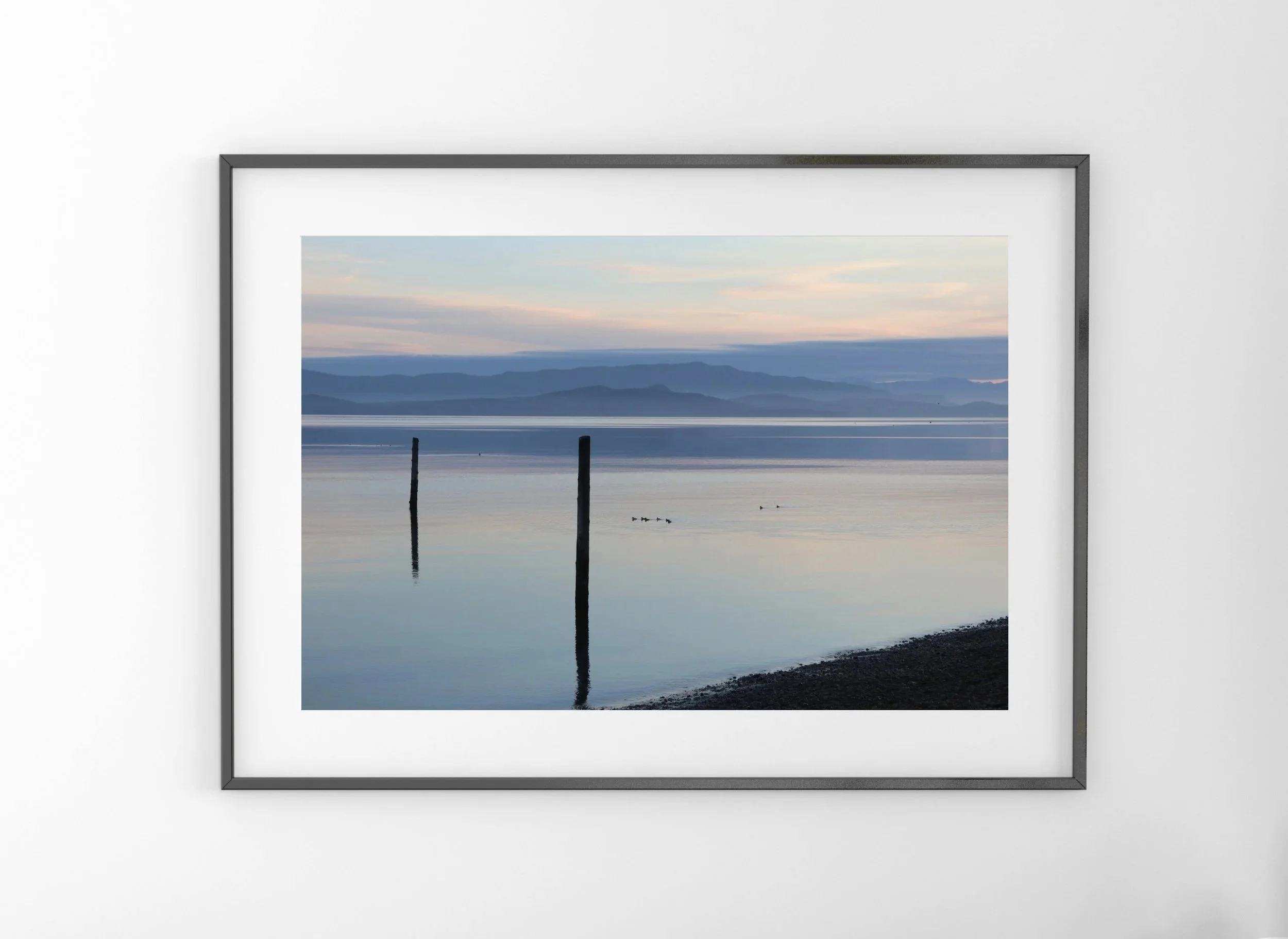 Qualicum Beach Sunrise, Vancouver Island, British Columbia - a calm west coast landscape with ducks on the water and a soft pastel sky. Currently displayed at the Qualicum Beach Visitor's Centre. Monika Hamilton Photography 