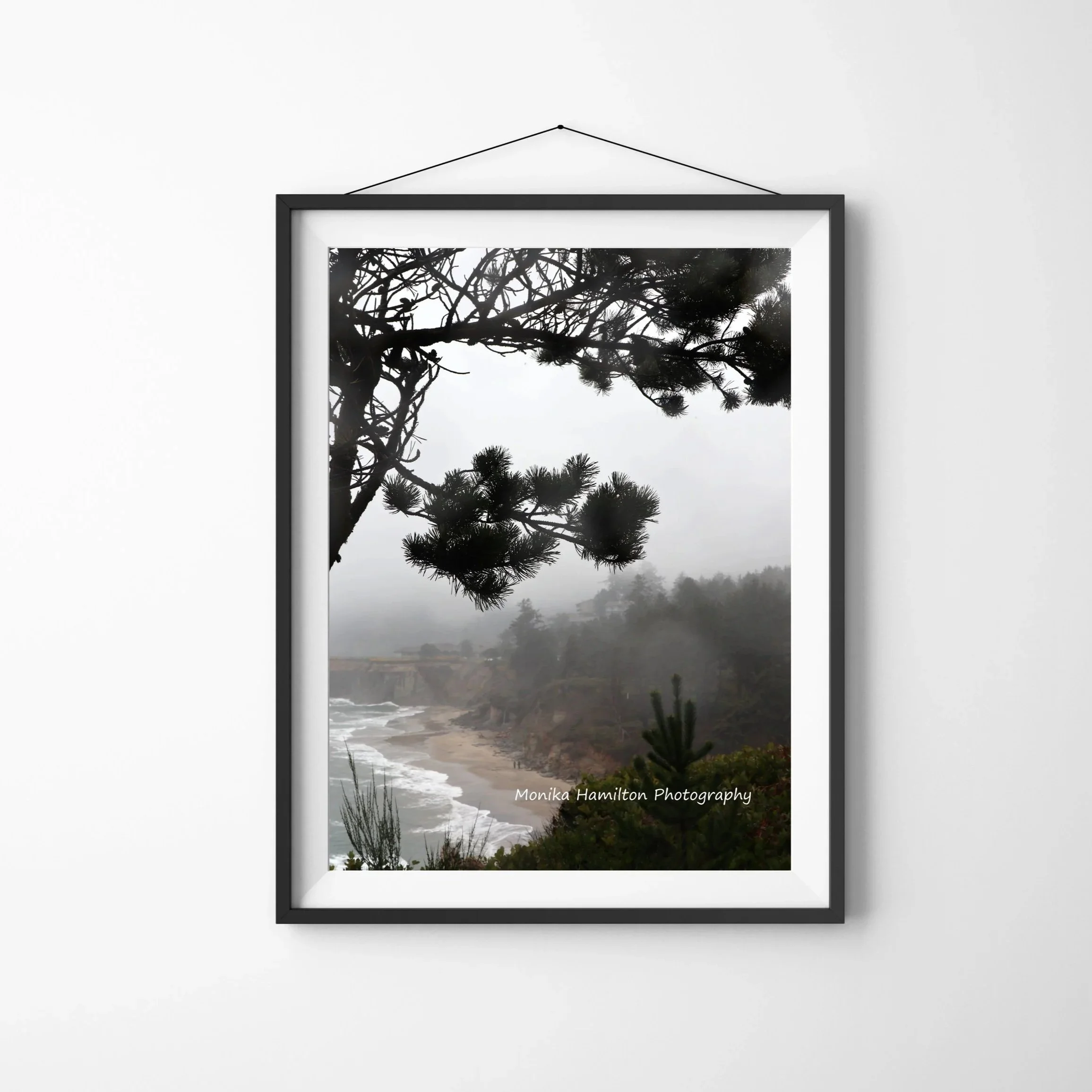 Otter Rock Misty Coastal Scene: spectacular view from Devil's Punchbowl State National Park along the beautiful Oregon Coast. Ponderosa Pine trees are in abundance in this area.
