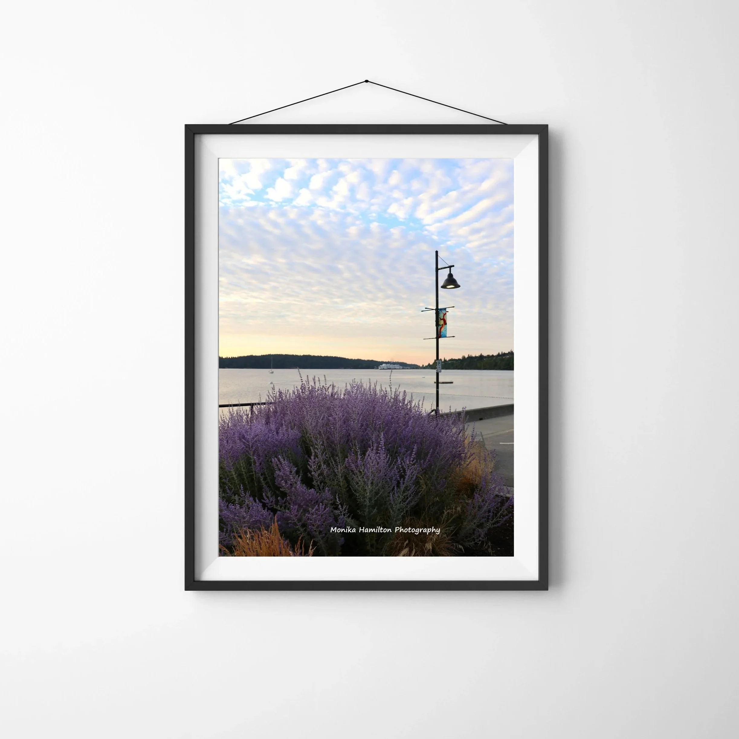 Departure Bay Sunrise, Nanaimo, Vertical Coastal Landscape Print: Canvas or Photo in Colour or Black and White
A lamppost, clouds, and pretty purple flowers liven up the scene as the ferry is ready to set sail to Vancouver. Available as a canvas or p