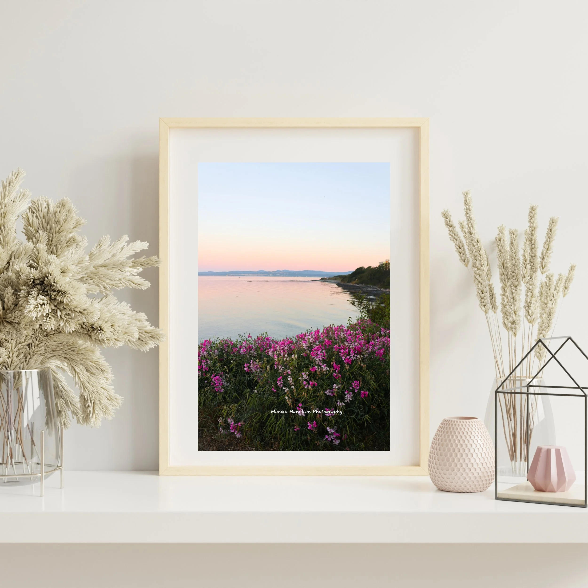 Sunrise at James Bay, Victoria, British Columbia, Canada - pink wildflowers and a pastel sky were lovely to see during an early evening walk. Monika Hamilton Photography