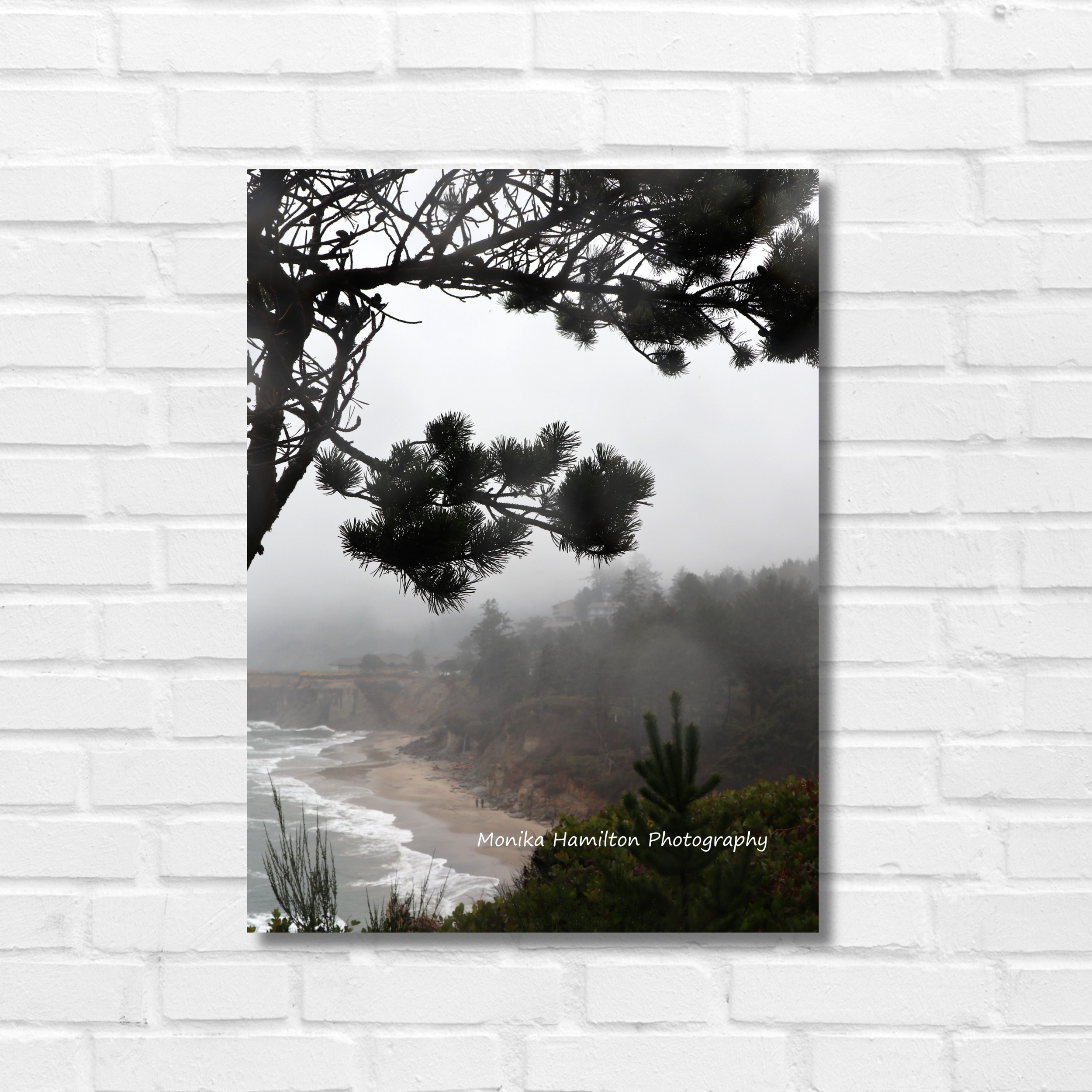 Otter Rock Misty Coastal Scene - at Devil's Punchbowl State National Park along the spectacular Oregon Coast. Ponderosa Pine trees are in abundance in this area.