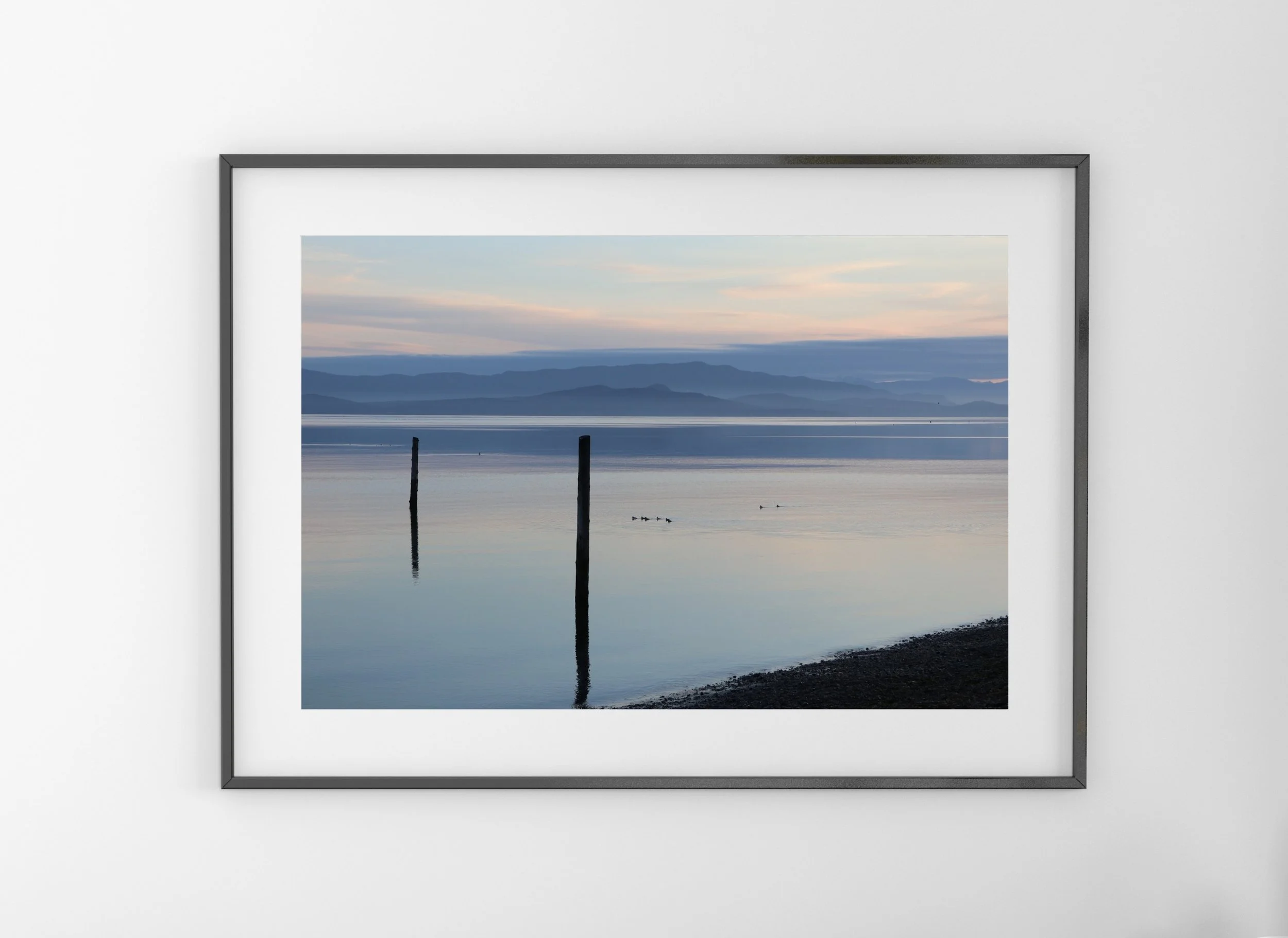 Qualicum Beach Sunrise, Vancouver Island, British Columbia - a calm coastal landscape with ducks on the water and a soft pastel sky. Monika Hamilton Photography 