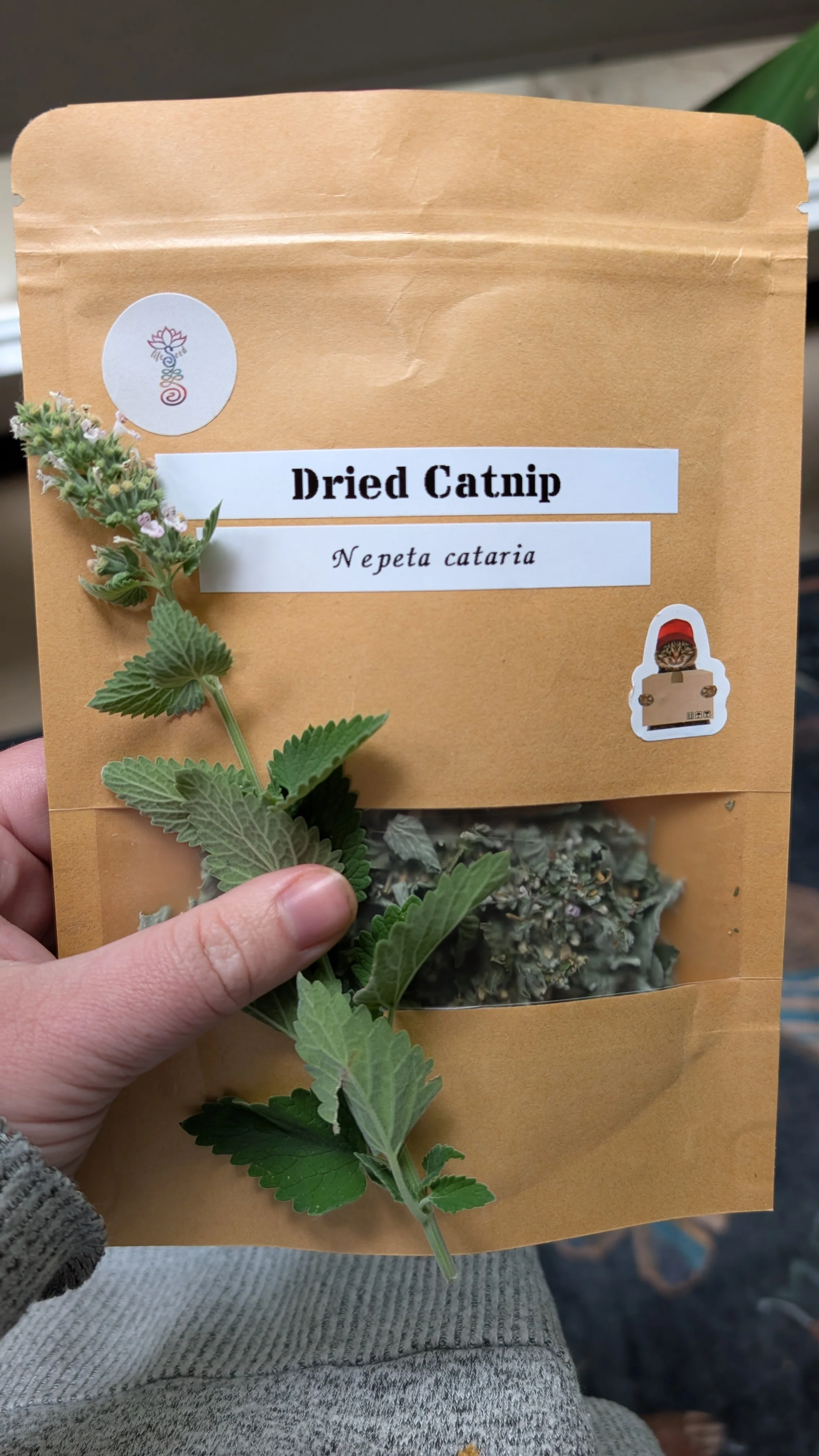 Dried Catnip (1oz)