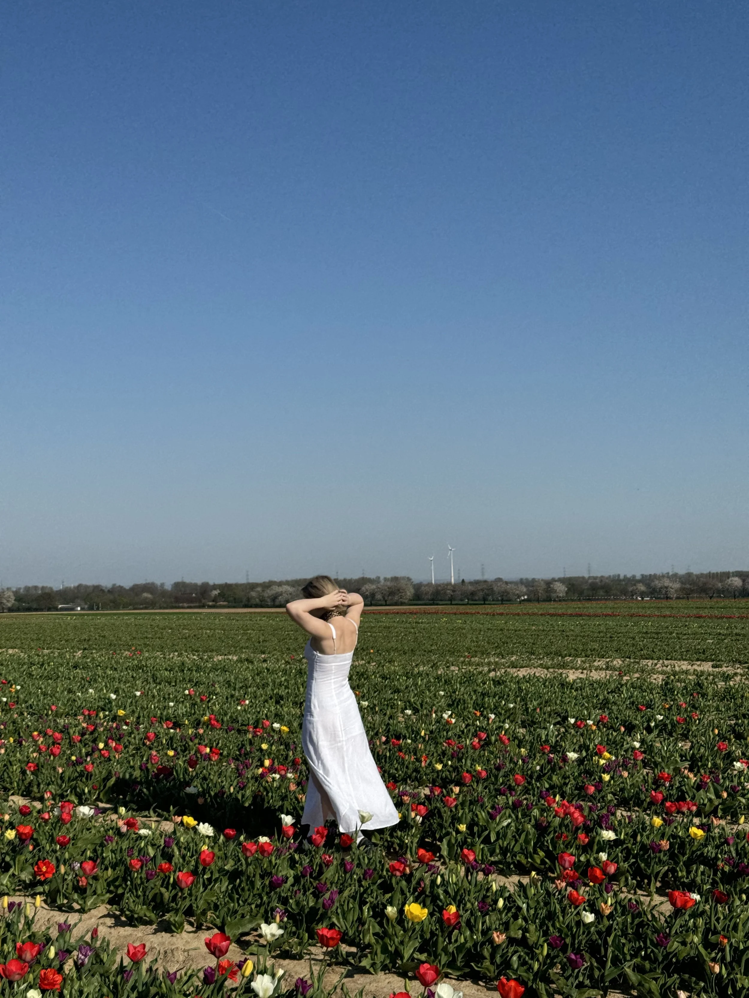 A woman in a white dress standing in a colorful tulip field, with her hands behind her head on a clear, sunny day.