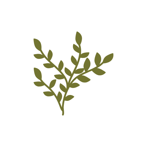 A minimalist icon of a green leafy branch on a black background