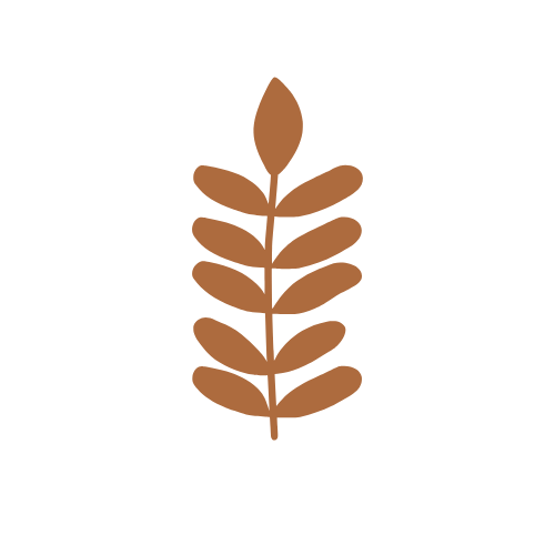 A stylized brown leaf or branch with multiple rounded leaves arranged along a central stem on a black background.