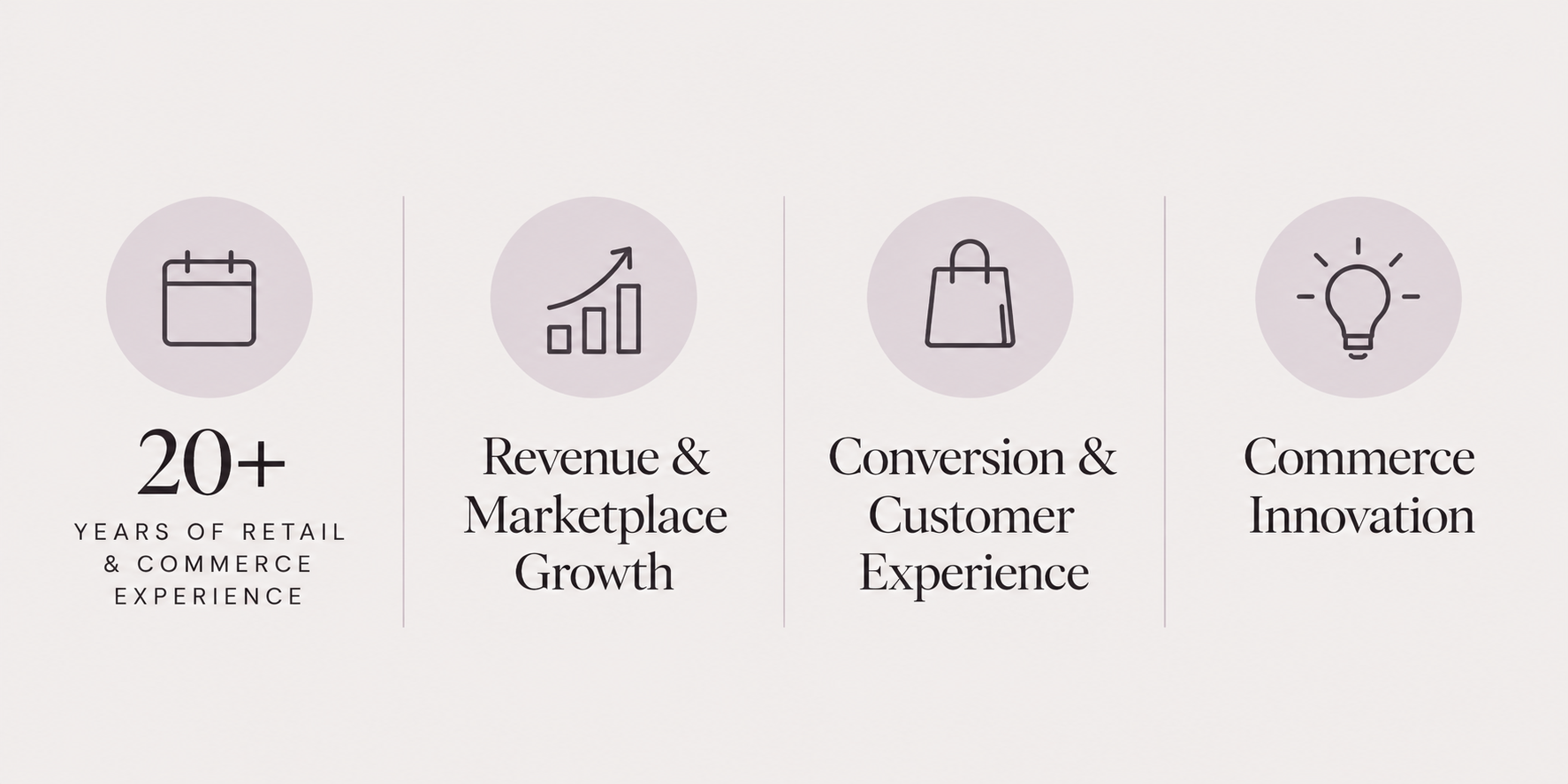 Infographic highlighting over 20 years of retail and commerce experience, with icons representing growth, revenue, marketplace, customer experience, and innovation.