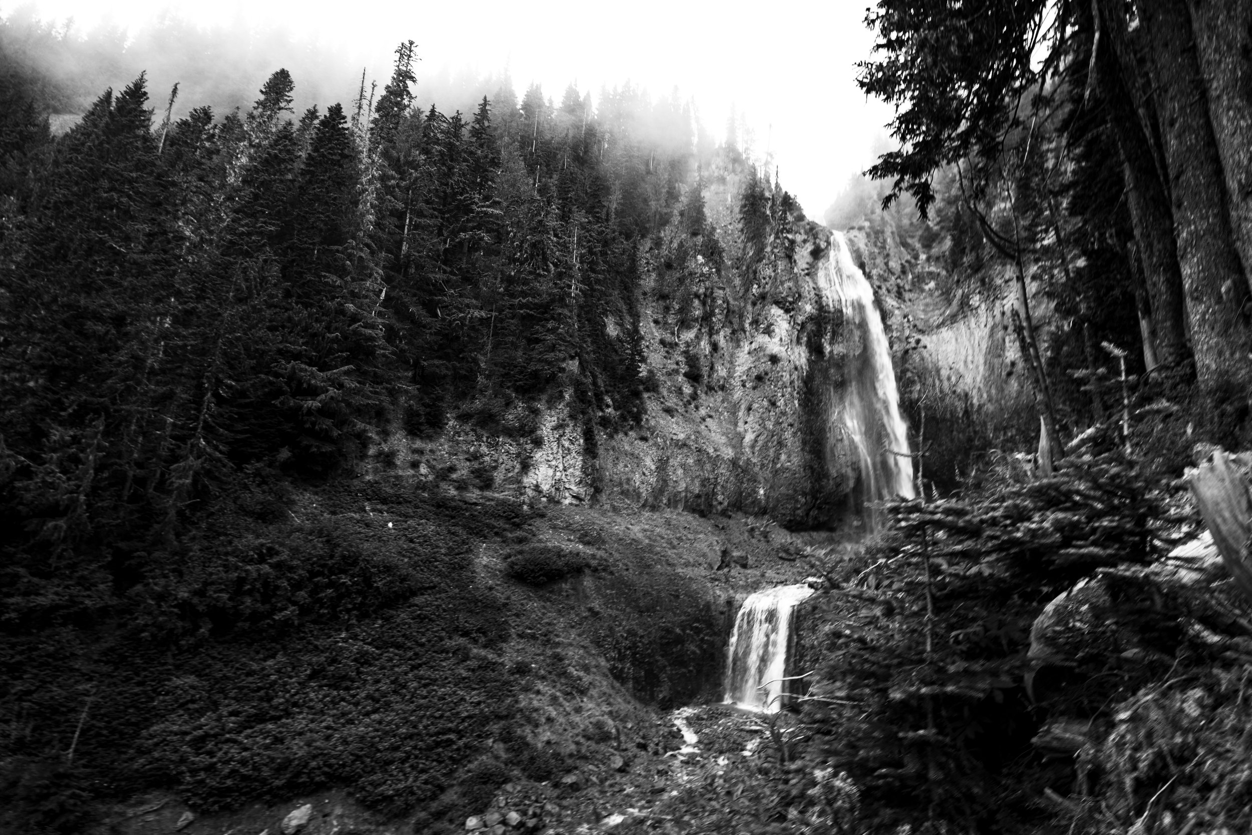 rainier-26.jpg