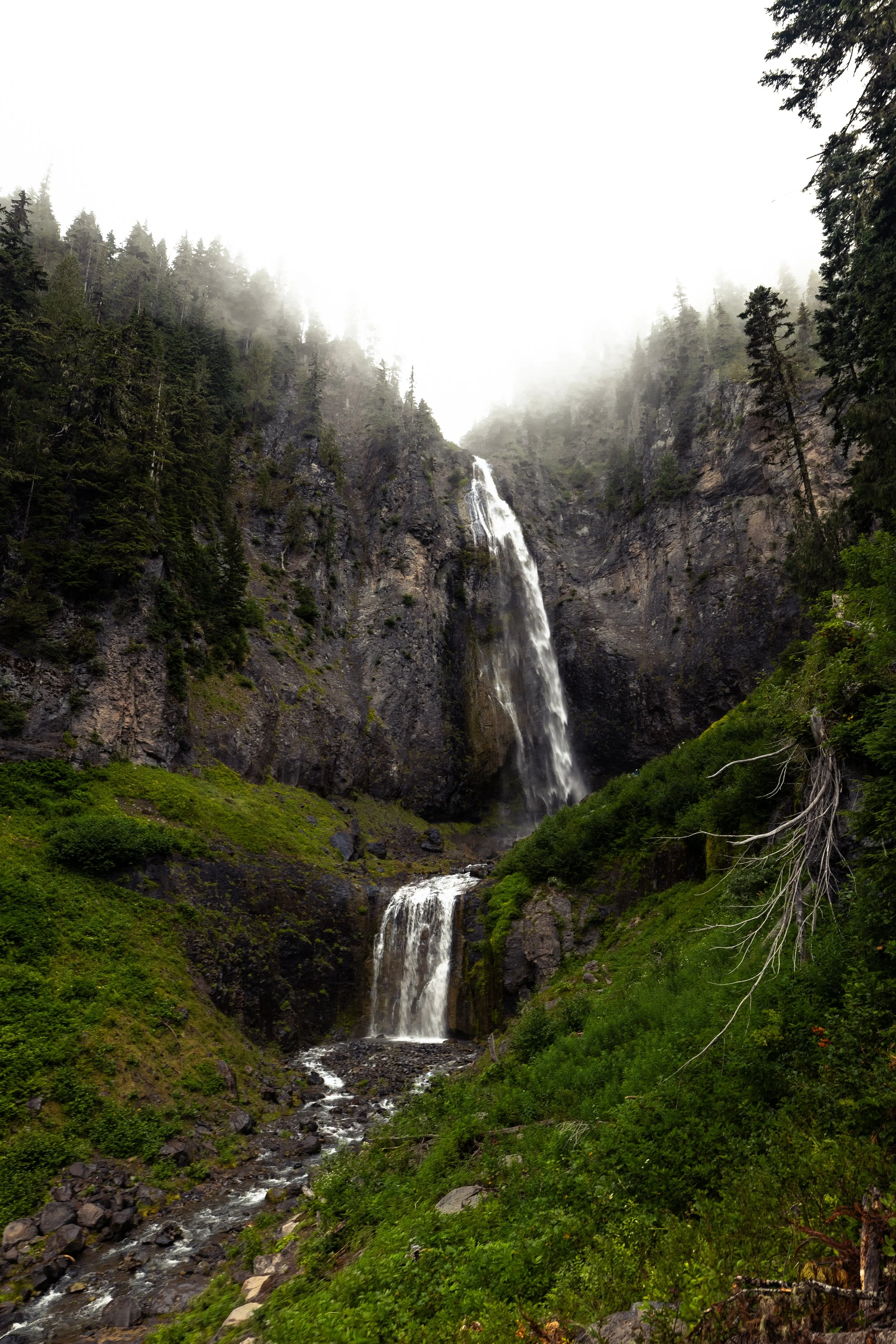 rainier-24.jpg