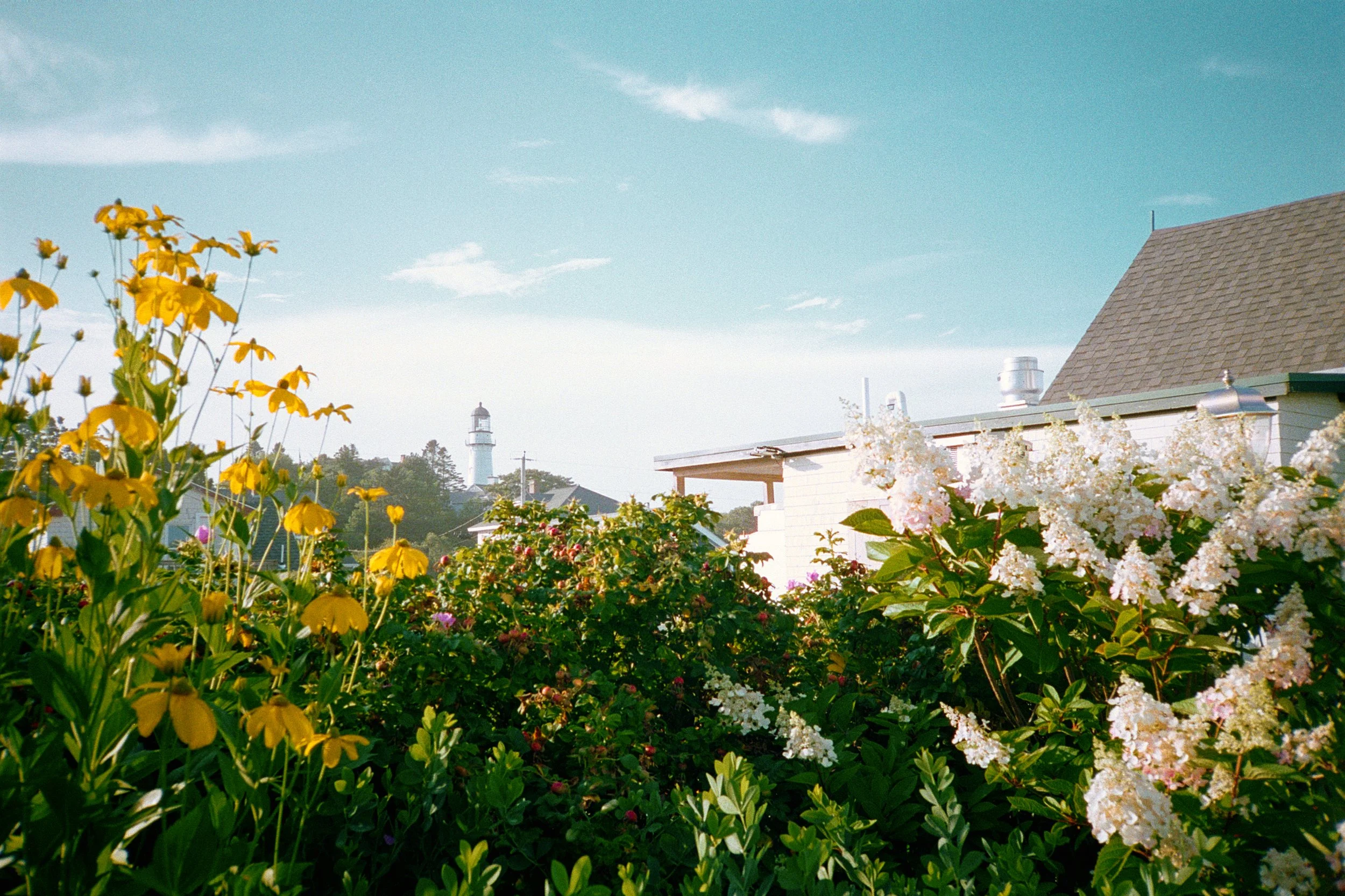 portland, me | kodak portra 800, 35mm