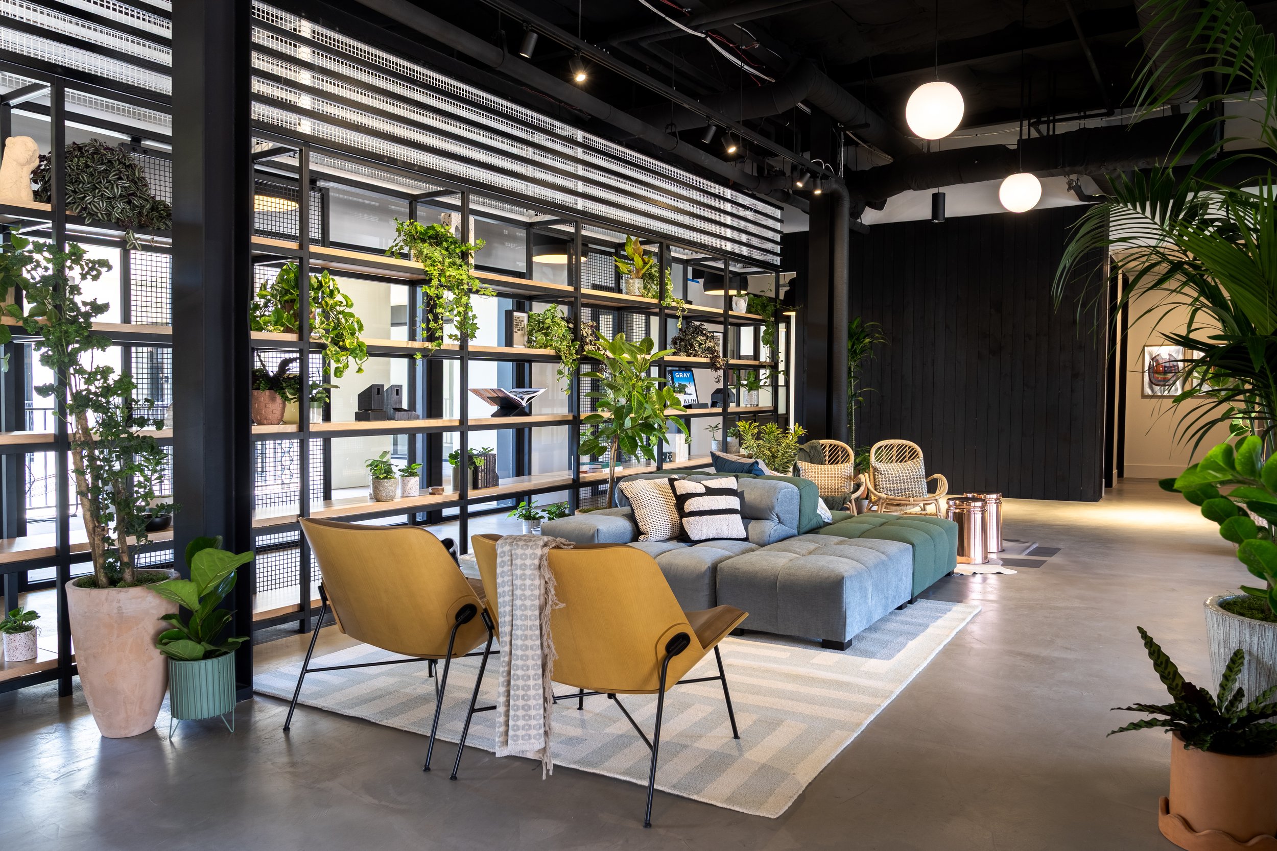 Kiln- Rancho Bernardo -.jpeg