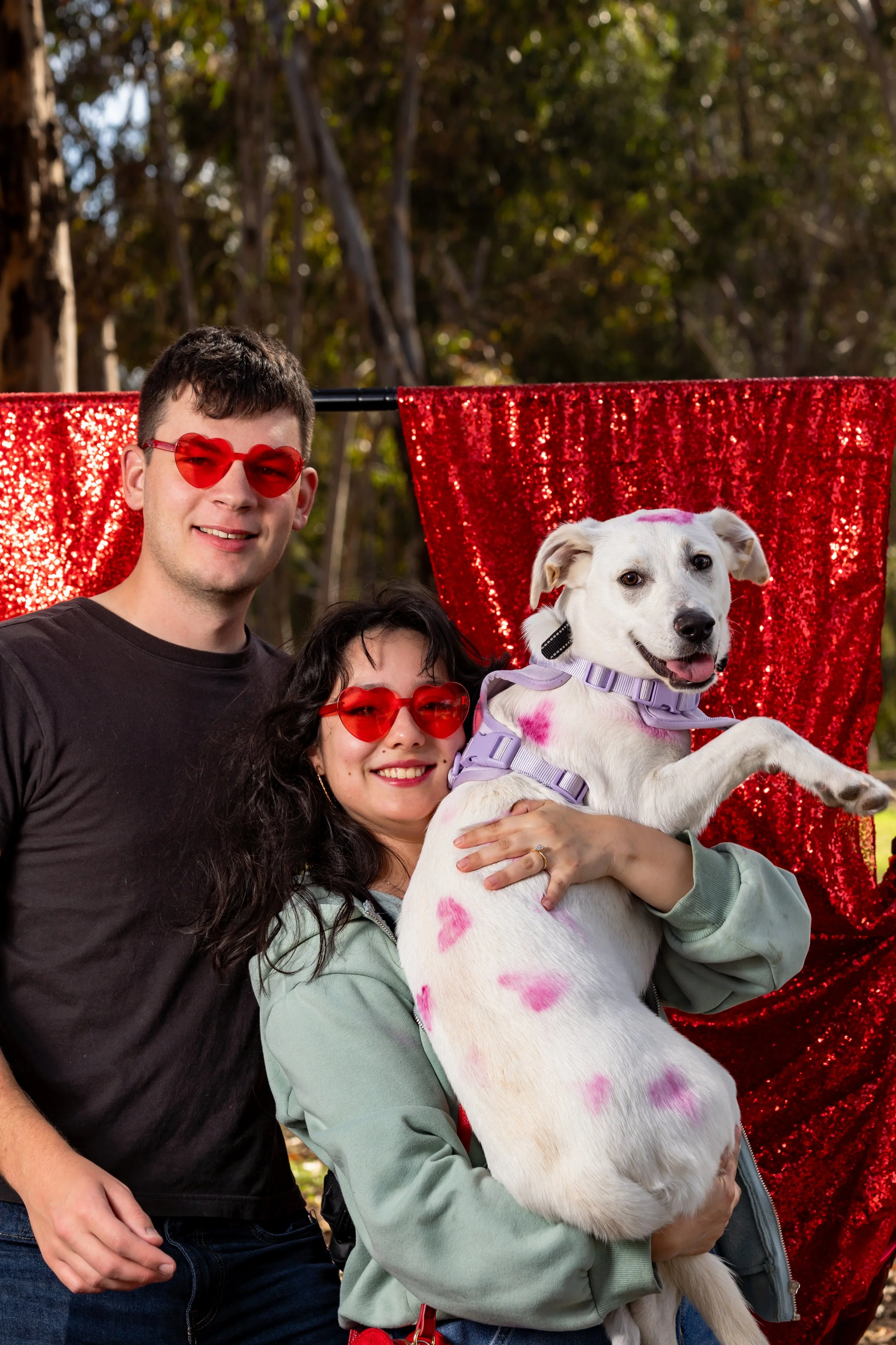 Valentine's Day Pet Portraits