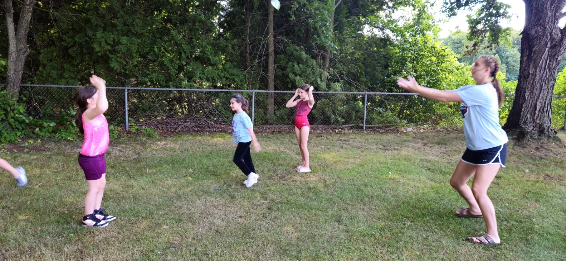 20260624_141155.jpg