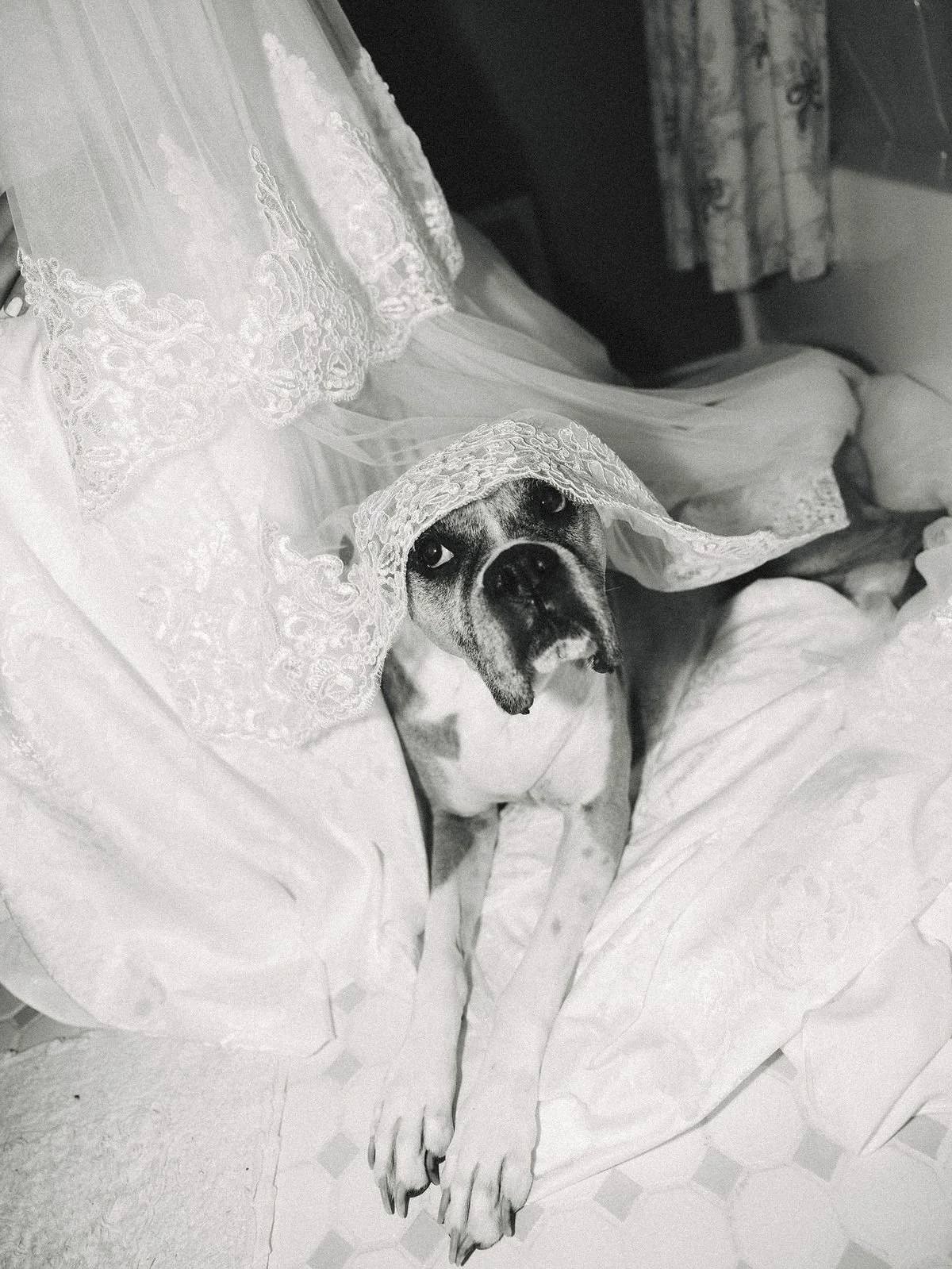 Kari Claire Photography