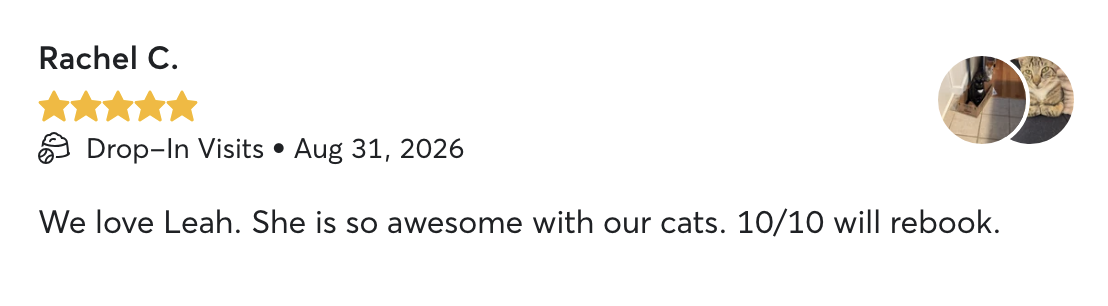 Review profile for Rachel C. with a 5-star rating, visit date August 31, 2026, mentioning love for Leah and cats, and a 10/10 rebook rating. Profile picture shows a dog and a cat.