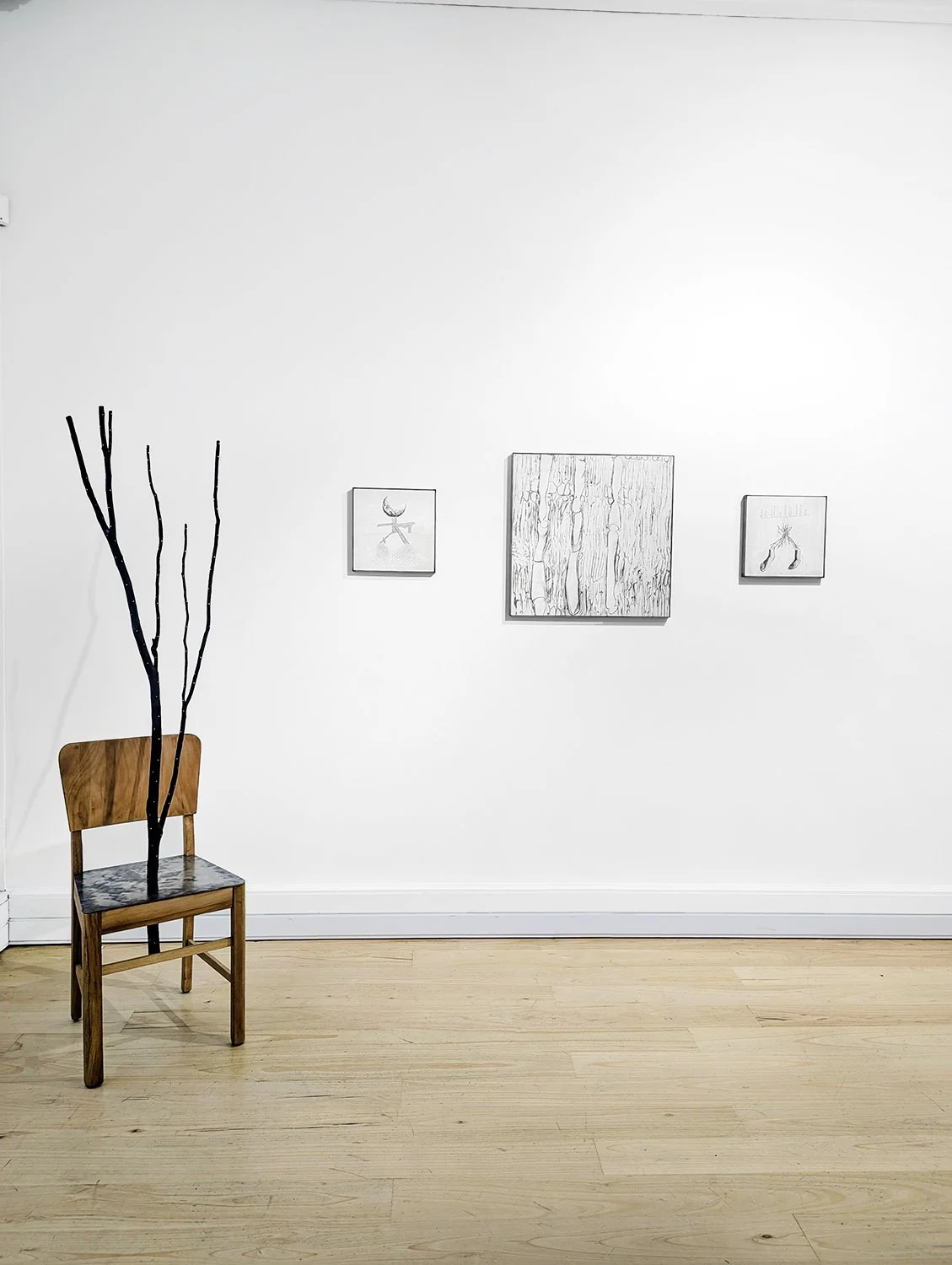 Mānuka install 07 .jpg