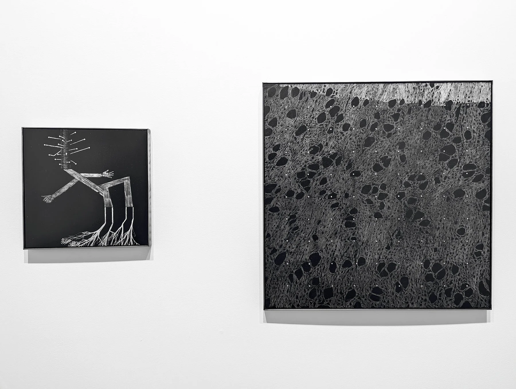 Mānuka install 03 .jpg