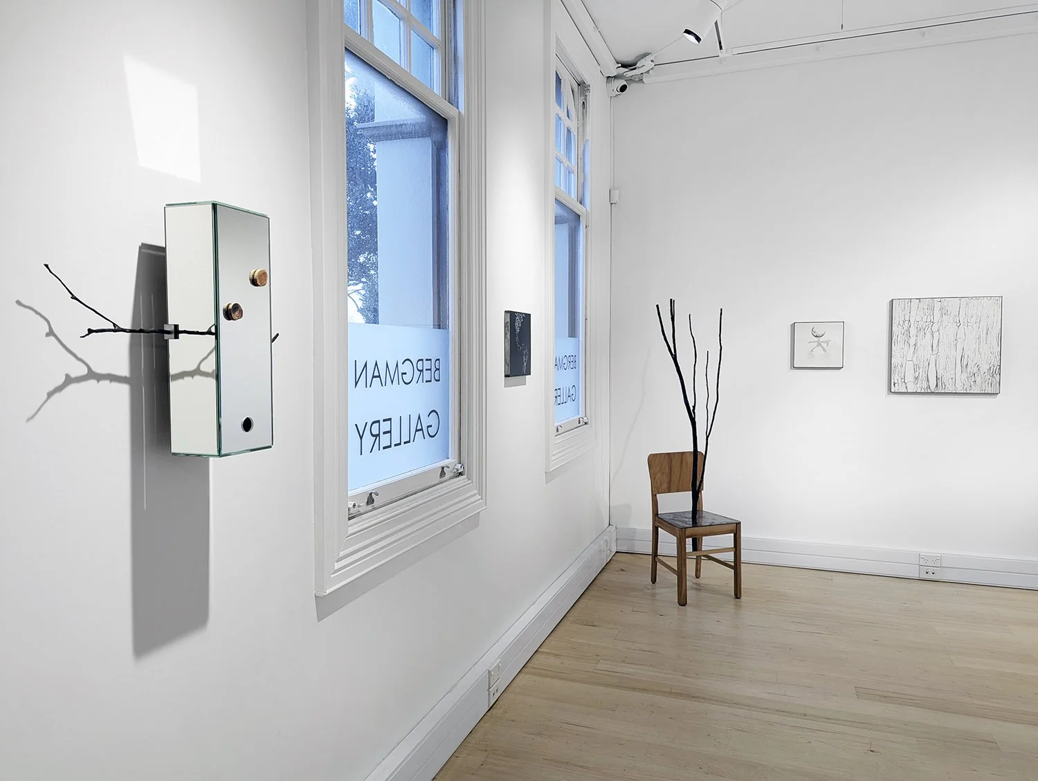 Mānuka install 09 .jpg