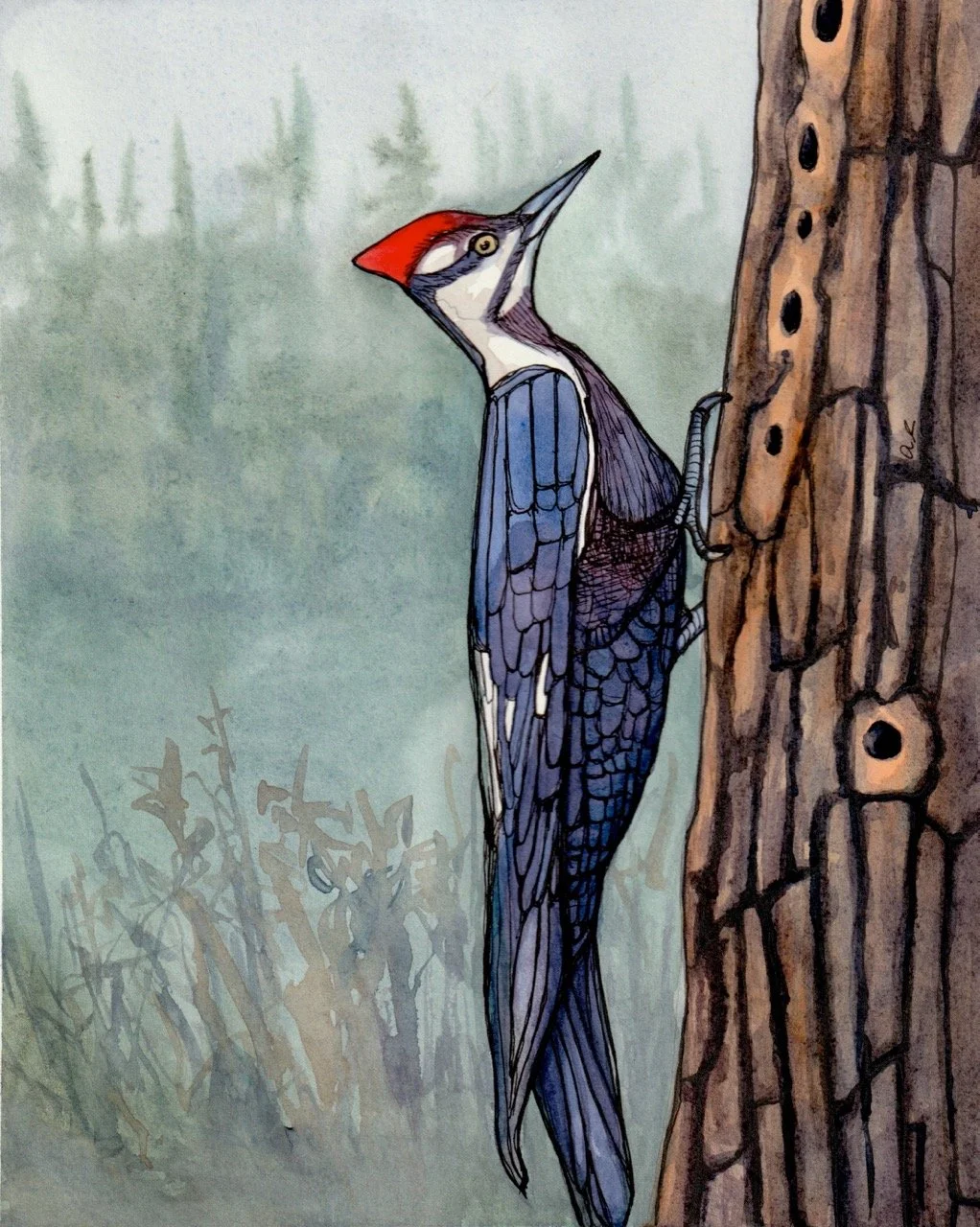 A colorful illustration of a woodpecker clinging to a tree trunk, with a background of green foliage and a misty forest scene.