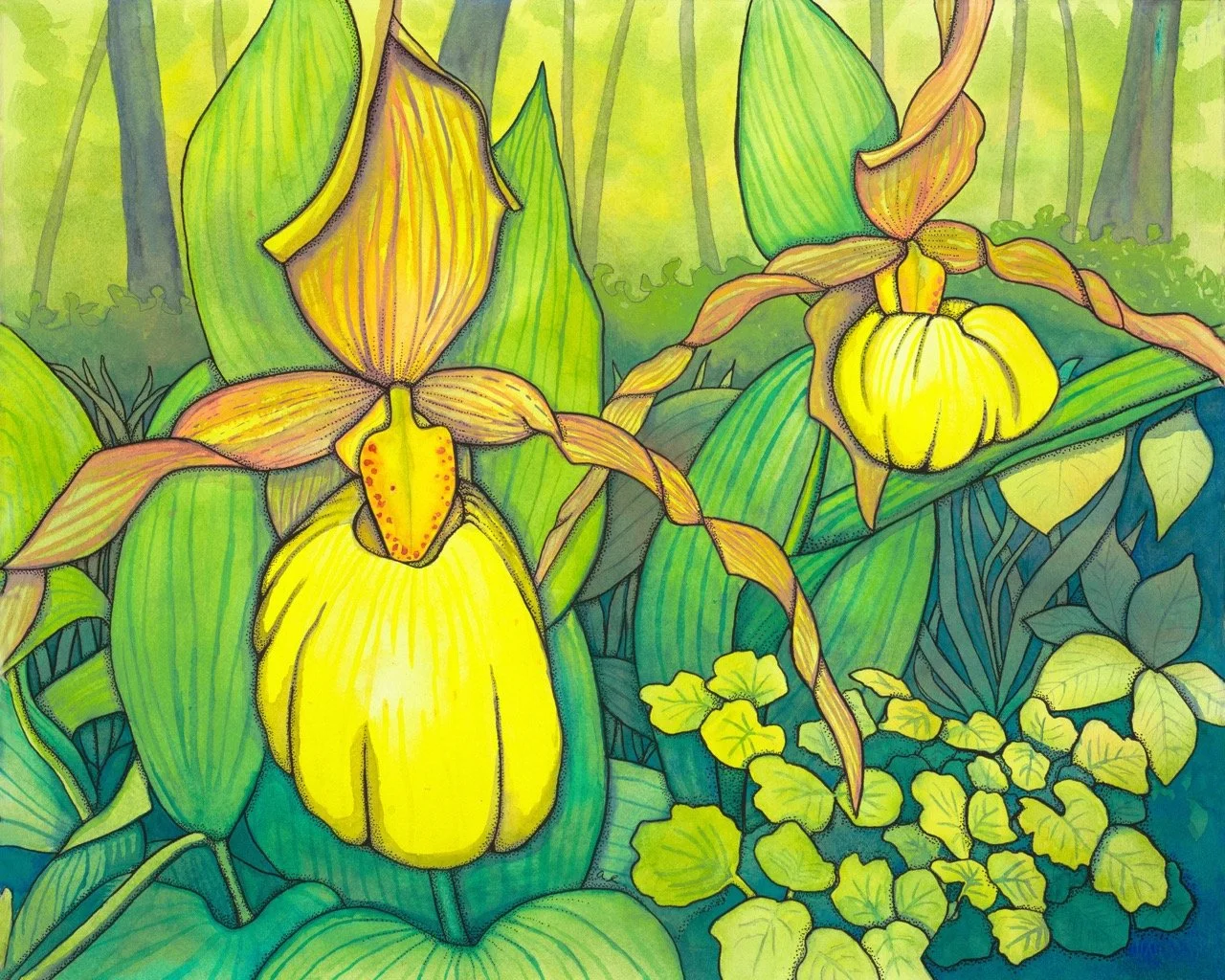 Colorful illustration of yellow and brown orchids with green leaves and a forest background.