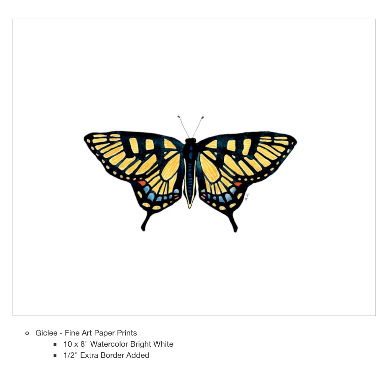 Anni Friesen - Swallowtail Butterfly 8x10.png