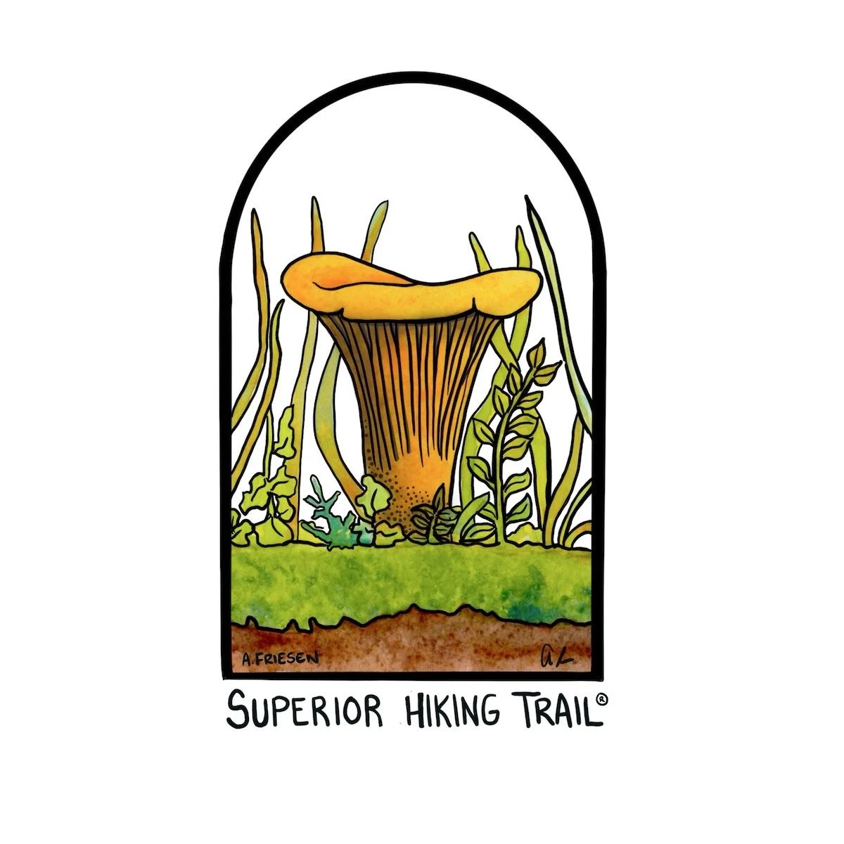 Superior Hiking Trail - Chanterelles Large.jpeg