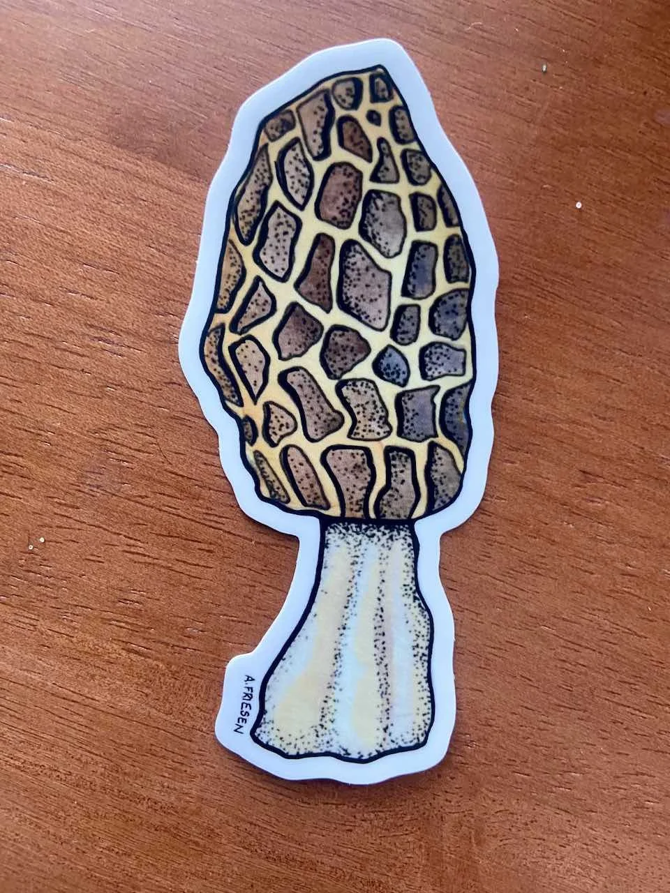 Morel Mushroom